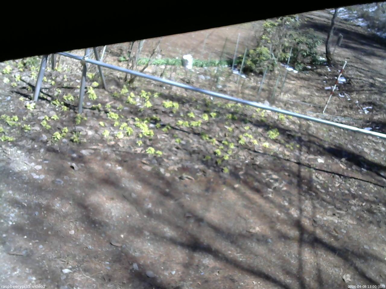 長野県菅平高原 ゆたか山荘 駐車場 2026/04/08 13:00