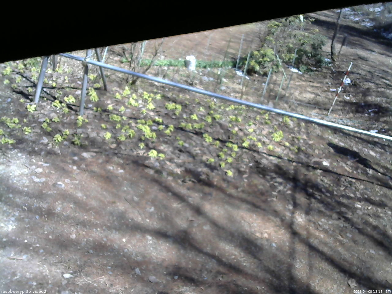 長野県菅平高原 ゆたか山荘 駐車場 2026/04/08 13:15