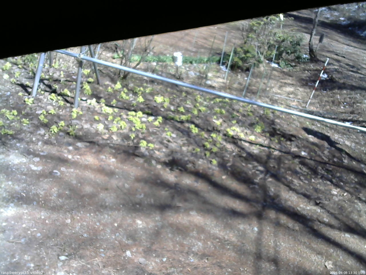 長野県菅平高原 ゆたか山荘 駐車場 2026/04/08 13:30