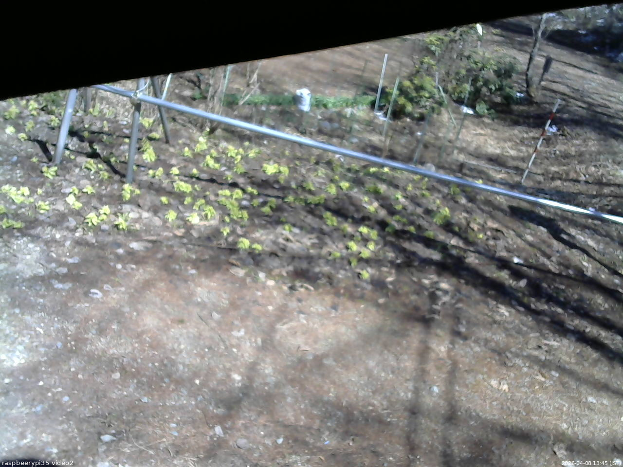 長野県菅平高原 ゆたか山荘 駐車場 2026/04/08 13:45