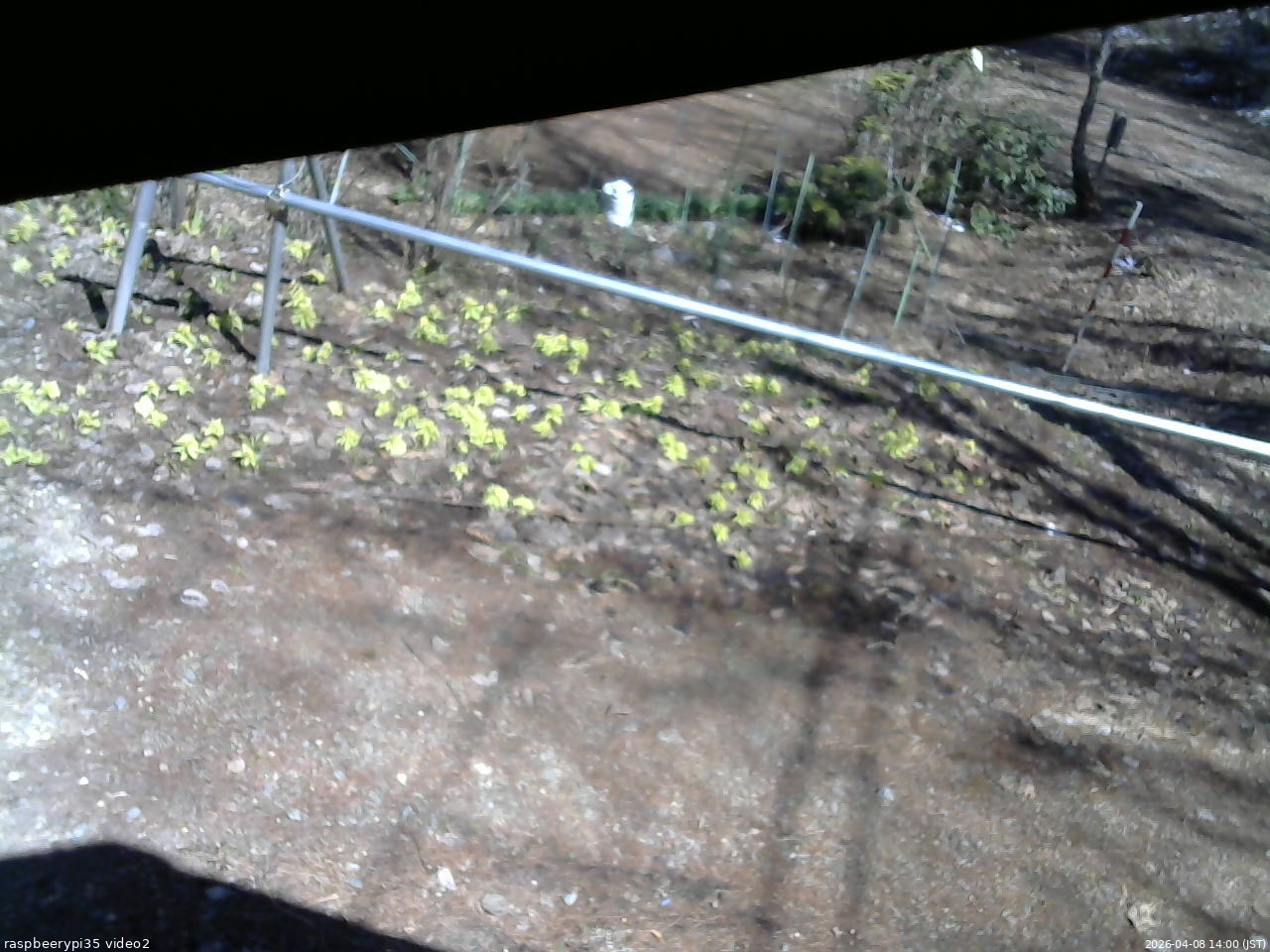 長野県菅平高原 ゆたか山荘 駐車場 2026/04/08 14:00