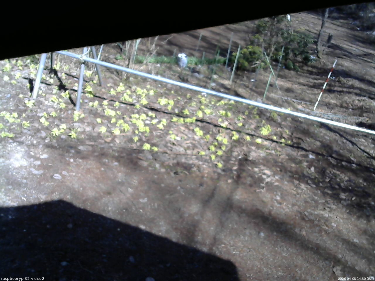 長野県菅平高原 ゆたか山荘 駐車場 2026/04/08 14:30