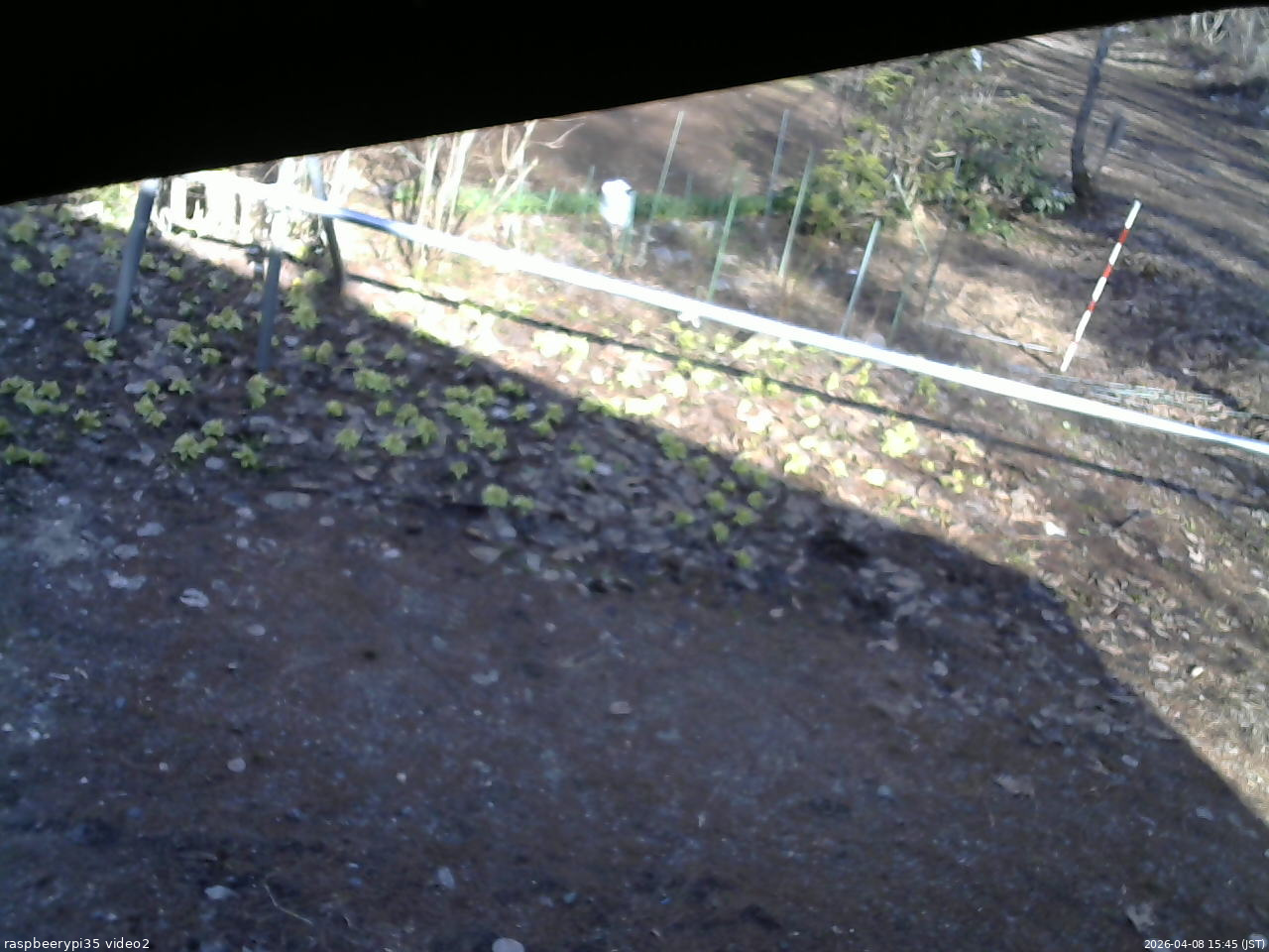 長野県菅平高原 ゆたか山荘 駐車場 2026/04/08 15:45