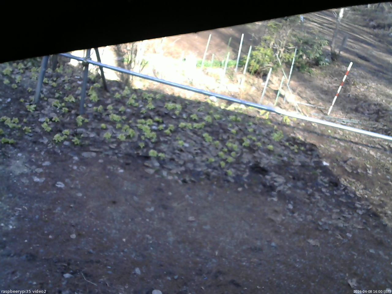 長野県菅平高原 ゆたか山荘 駐車場 2026/04/08 16:00