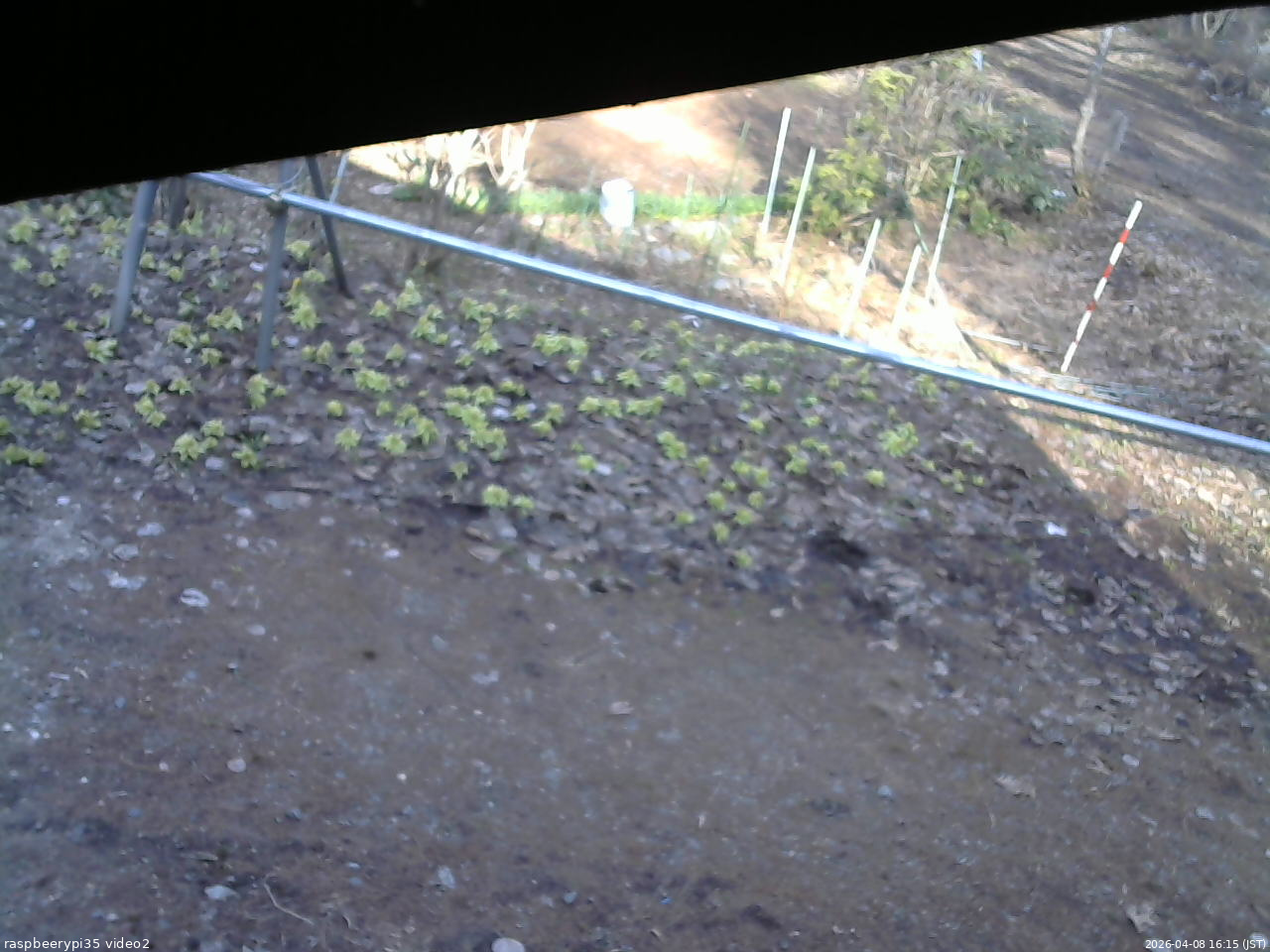 長野県菅平高原 ゆたか山荘 駐車場 2026/04/08 16:15