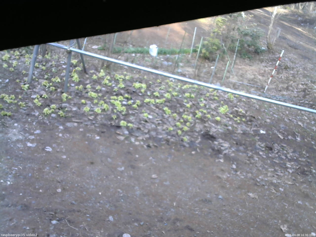 長野県菅平高原 ゆたか山荘 駐車場 2026/04/08 16:30