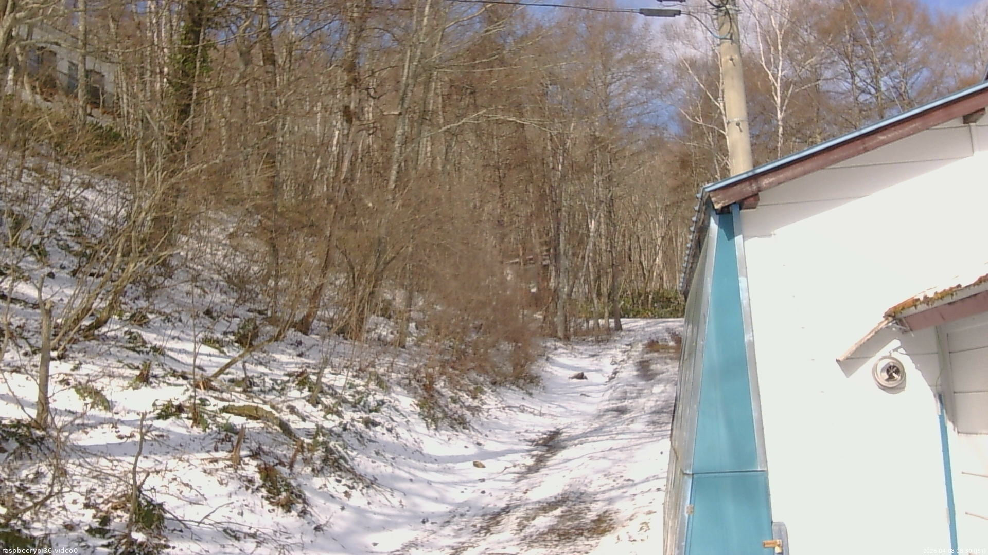 長野県菅平高原 ゆたか山荘 ゆたか山荘 2026/04/08 08:30