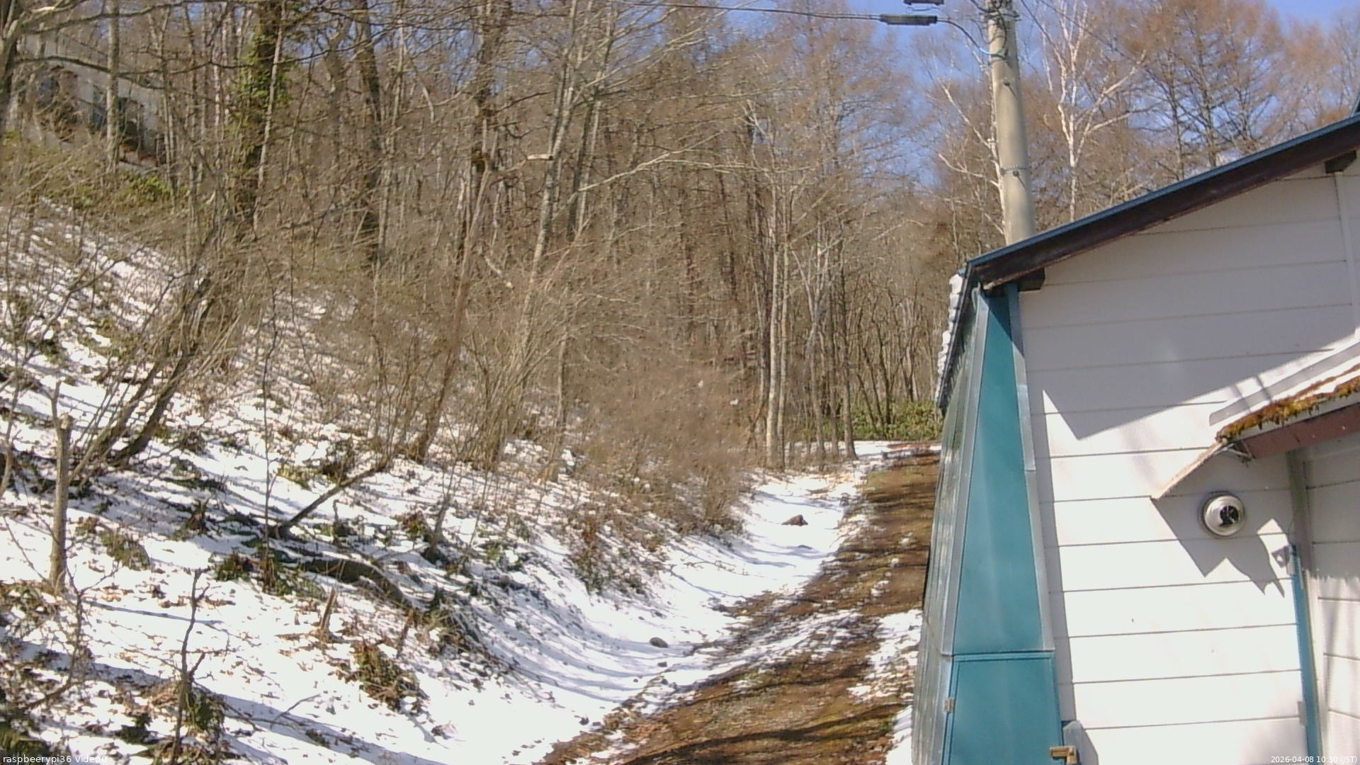 長野県菅平高原 ゆたか山荘 ゆたか山荘 2026/04/08 10:30
