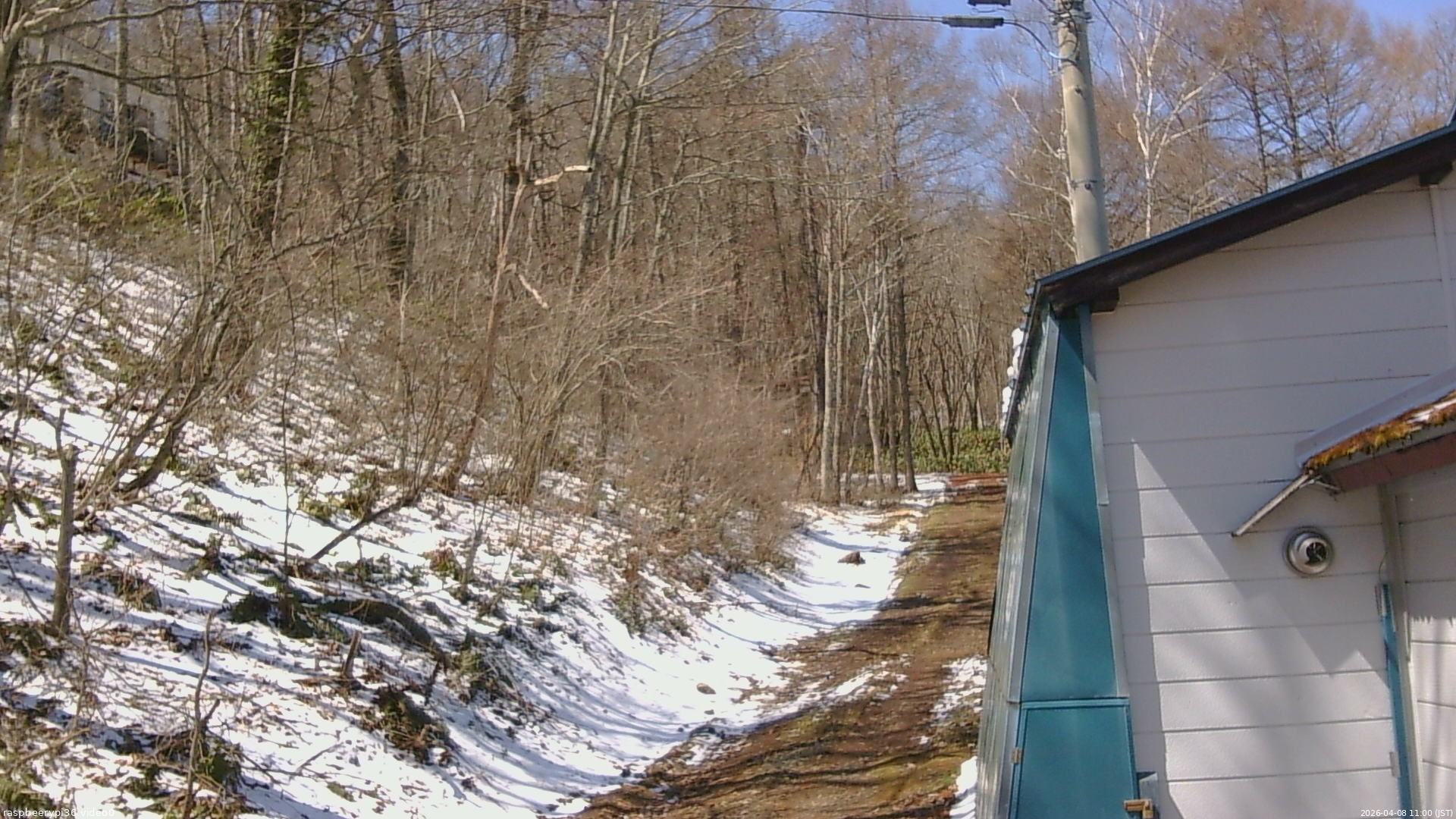 長野県菅平高原 ゆたか山荘 ゆたか山荘 2026/04/08 11:00