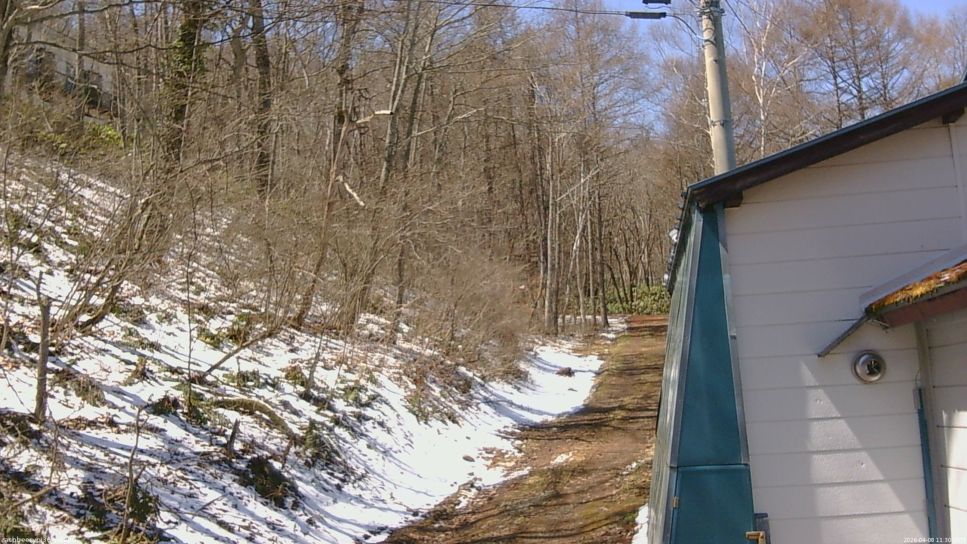 長野県菅平高原 ゆたか山荘 ゆたか山荘 2026/04/08 11:30