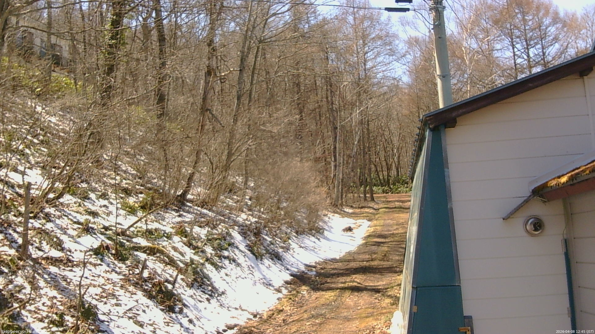長野県菅平高原 ゆたか山荘 ゆたか山荘 2026/04/08 12:45