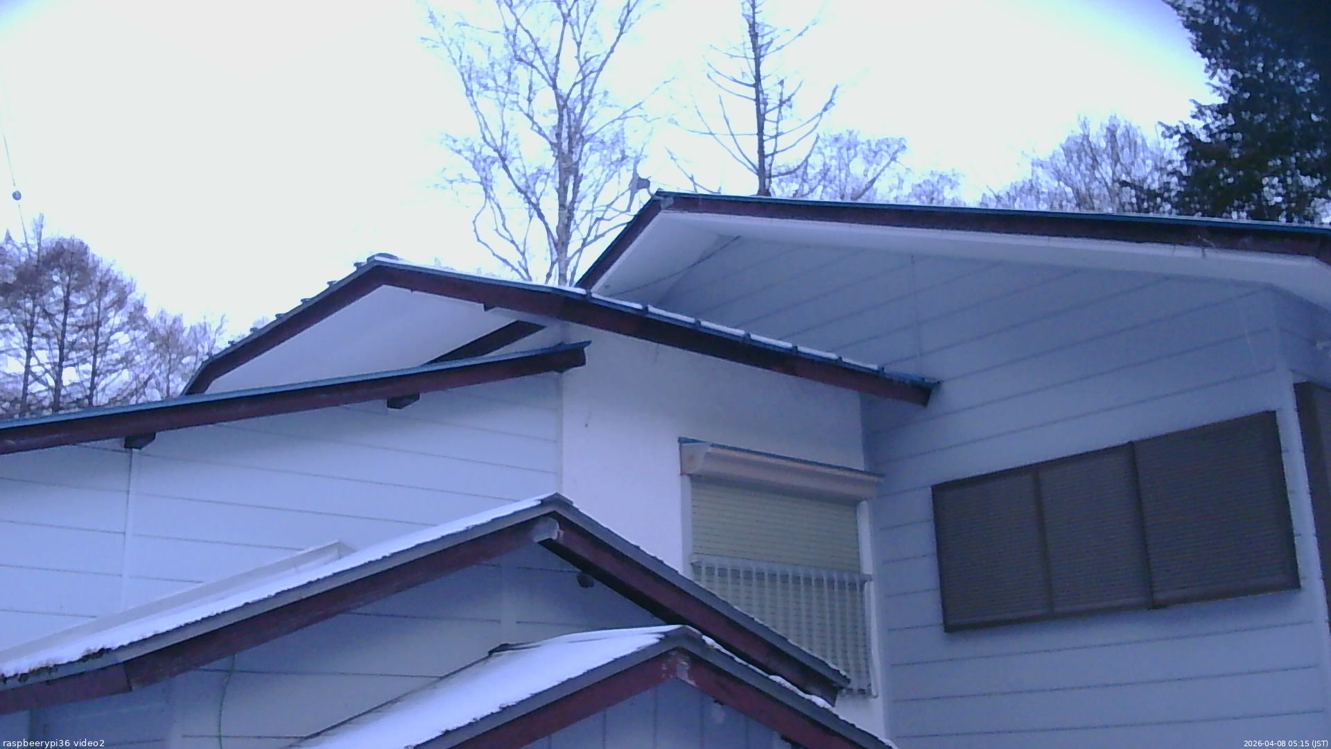 長野県菅平高原 ゆたか山荘 駐車場奥 2026/04/08 05:15