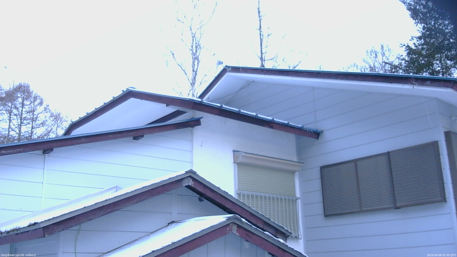 長野県菅平高原 ゆたか山荘 駐車場奥 2026/04/08 05:30