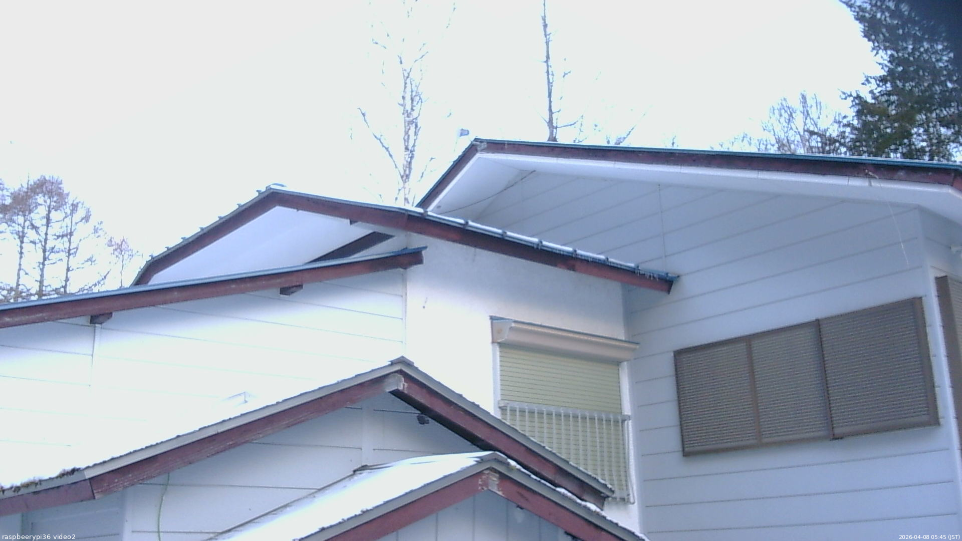 長野県菅平高原 ゆたか山荘 駐車場奥 2026/04/08 05:45