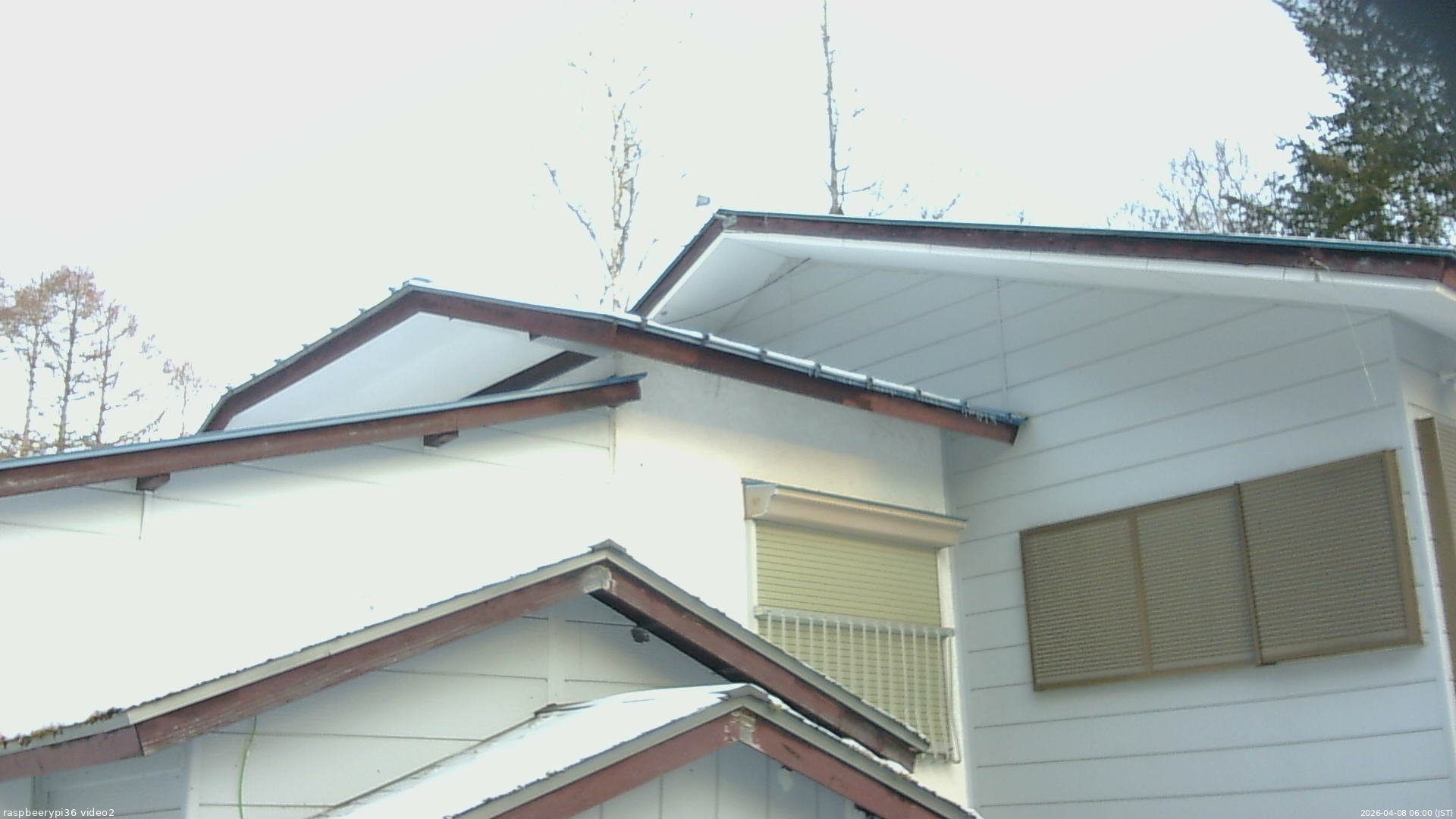 長野県菅平高原 ゆたか山荘 駐車場奥 2026/04/08 06:00