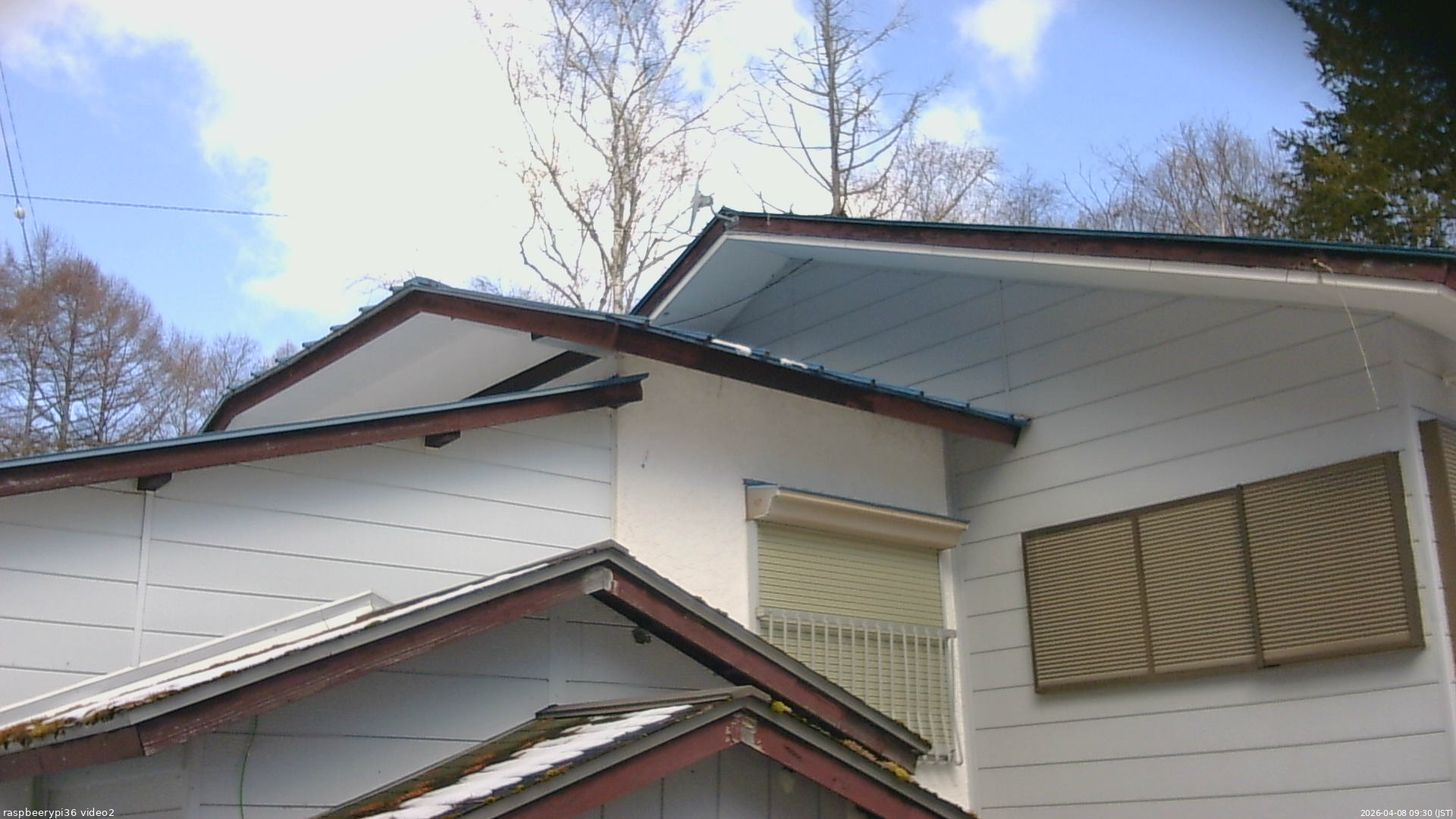 長野県菅平高原 ゆたか山荘 駐車場奥 2026/04/08 09:30