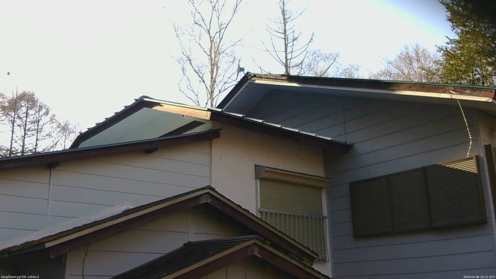 長野県菅平高原 ゆたか山荘 駐車場奥 2026/04/08 16:15