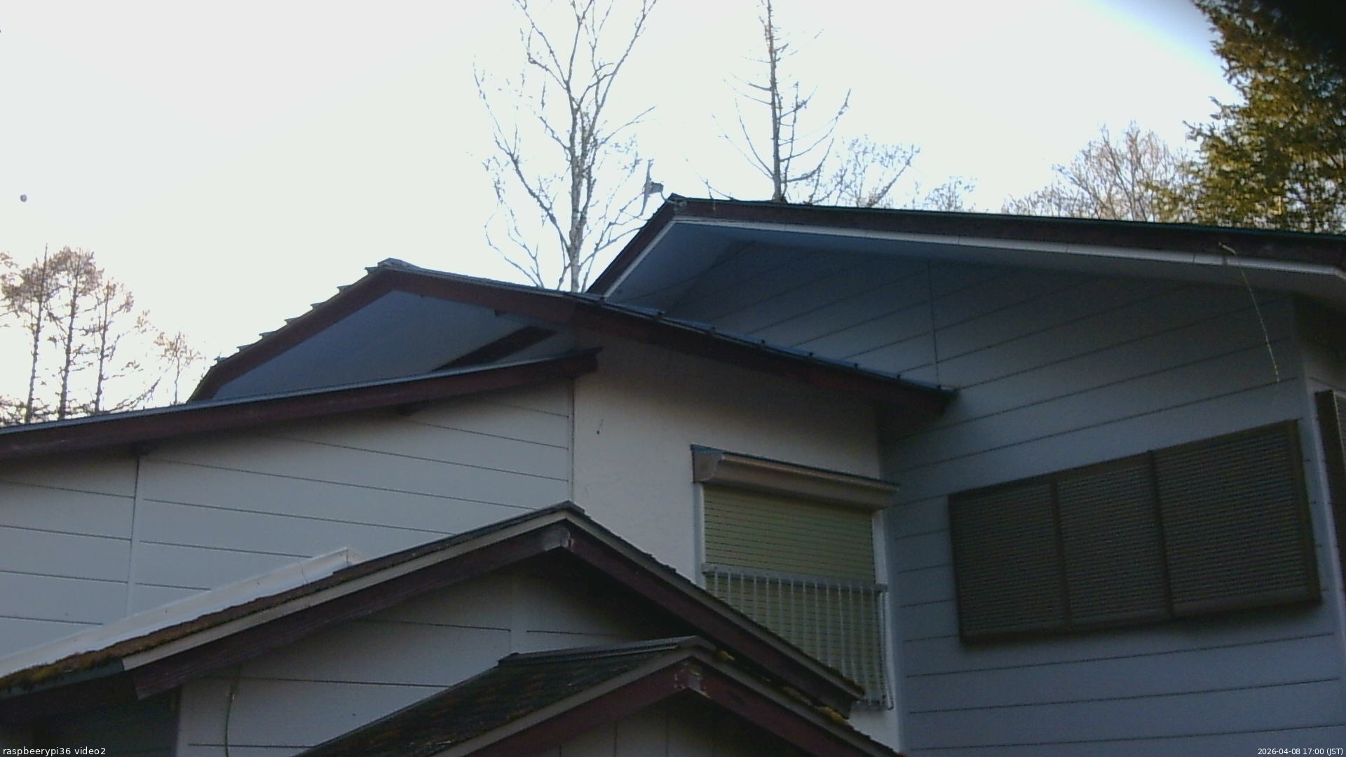 長野県菅平高原 ゆたか山荘 駐車場奥 2026/04/08 17:00