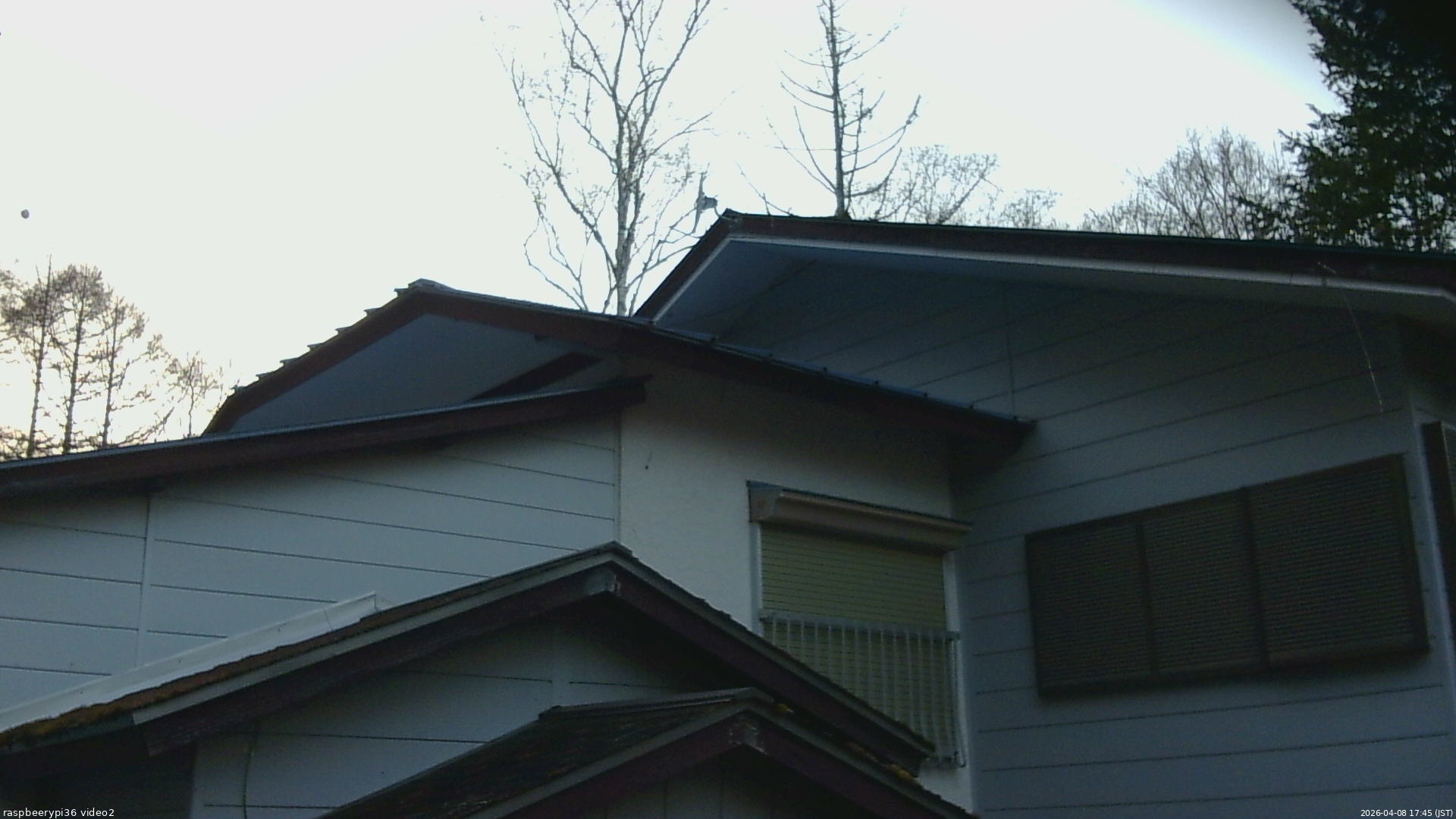 長野県菅平高原 ゆたか山荘 駐車場奥 2026/04/08 17:45