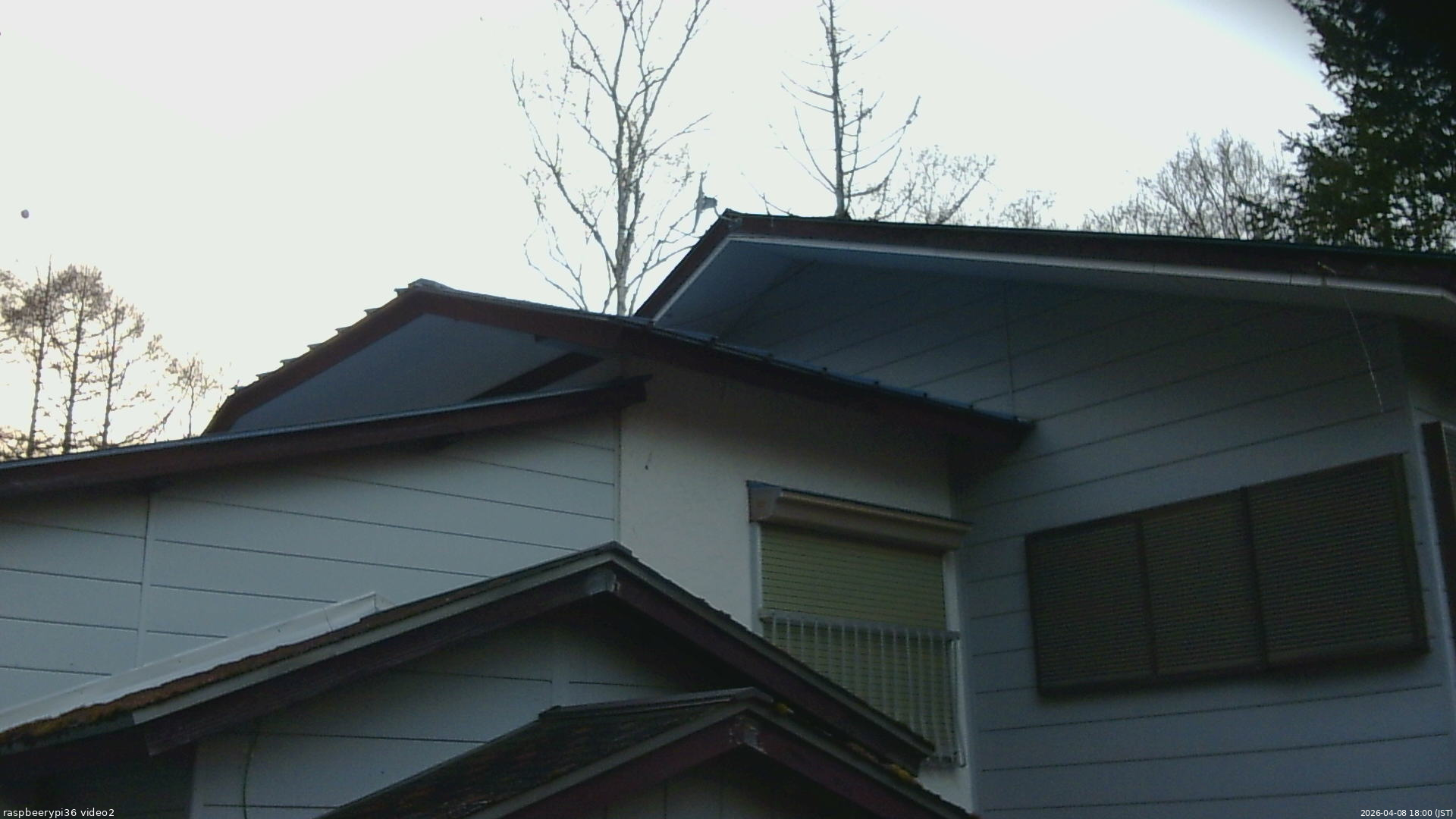 長野県菅平高原 ゆたか山荘 駐車場奥 2026/04/08 18:00