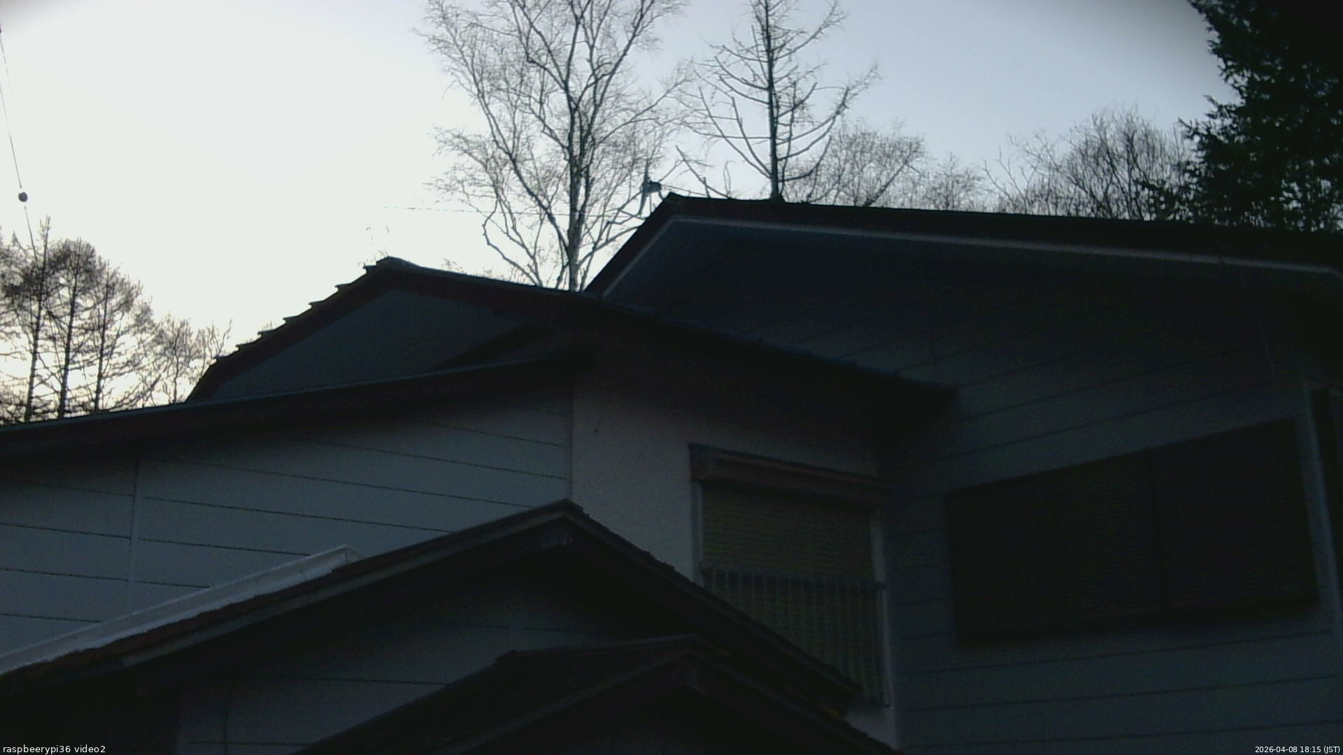 長野県菅平高原 ゆたか山荘 駐車場奥 2026/04/08 18:15