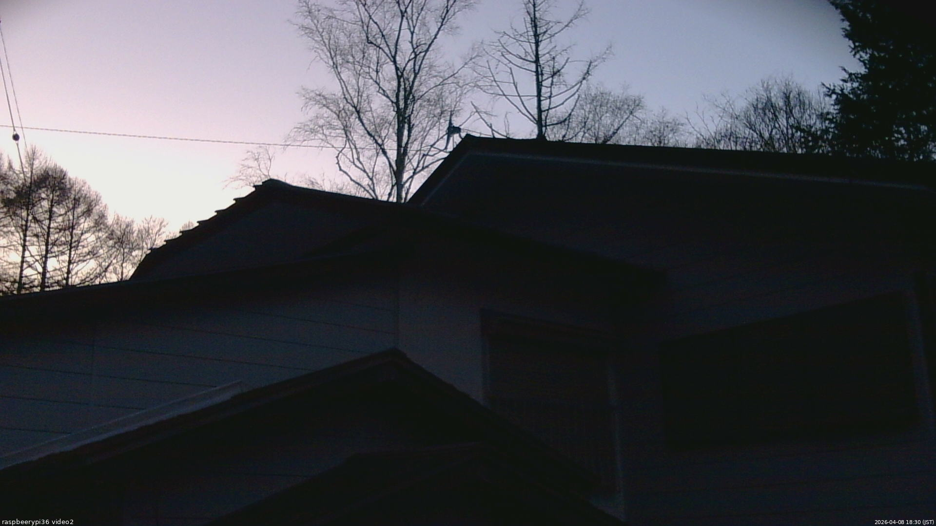 長野県菅平高原 ゆたか山荘 駐車場奥 2026/04/08 18:30