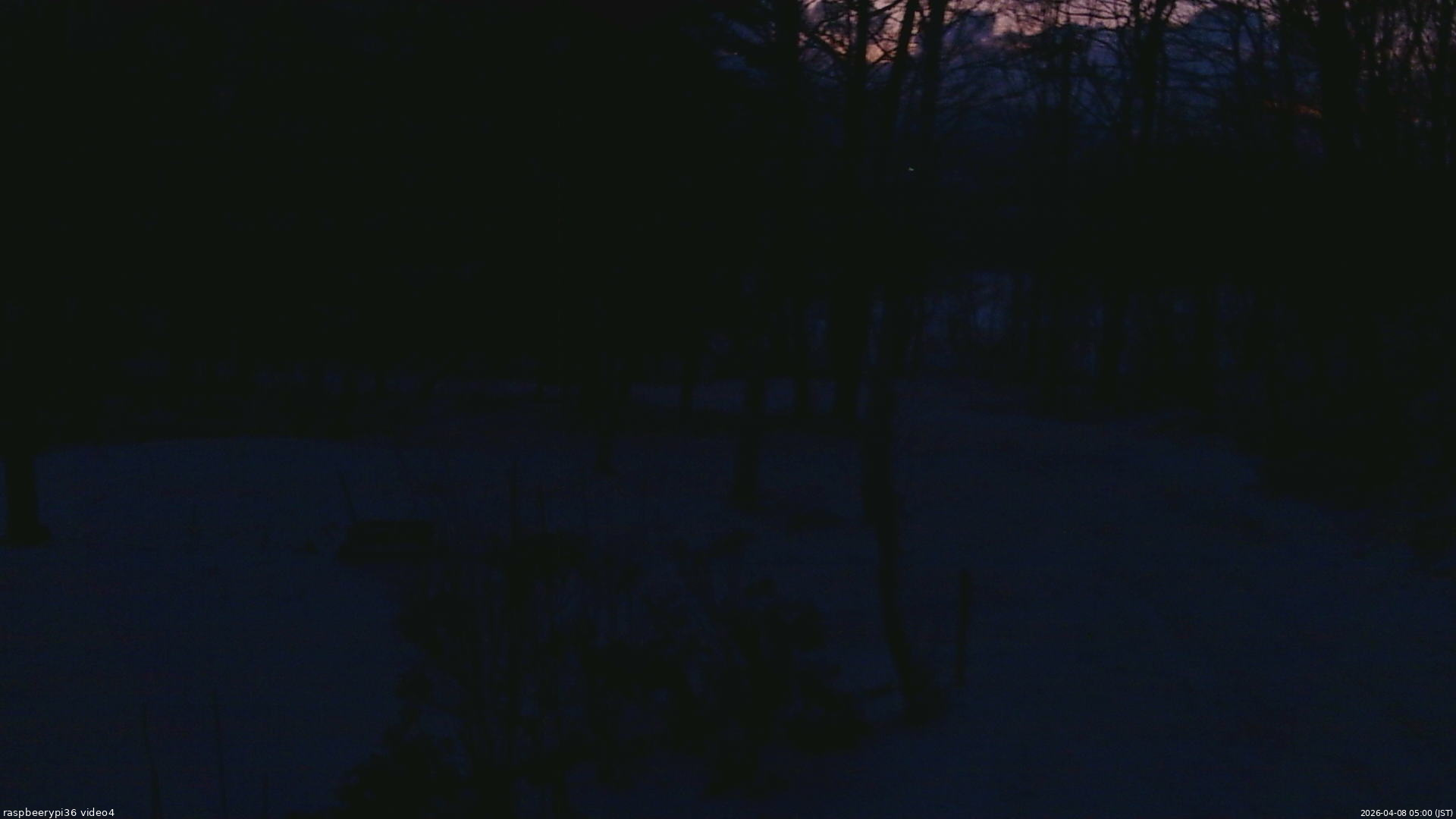 長野県菅平高原 ゆたか山荘 坂上 2026/04/08 05:00