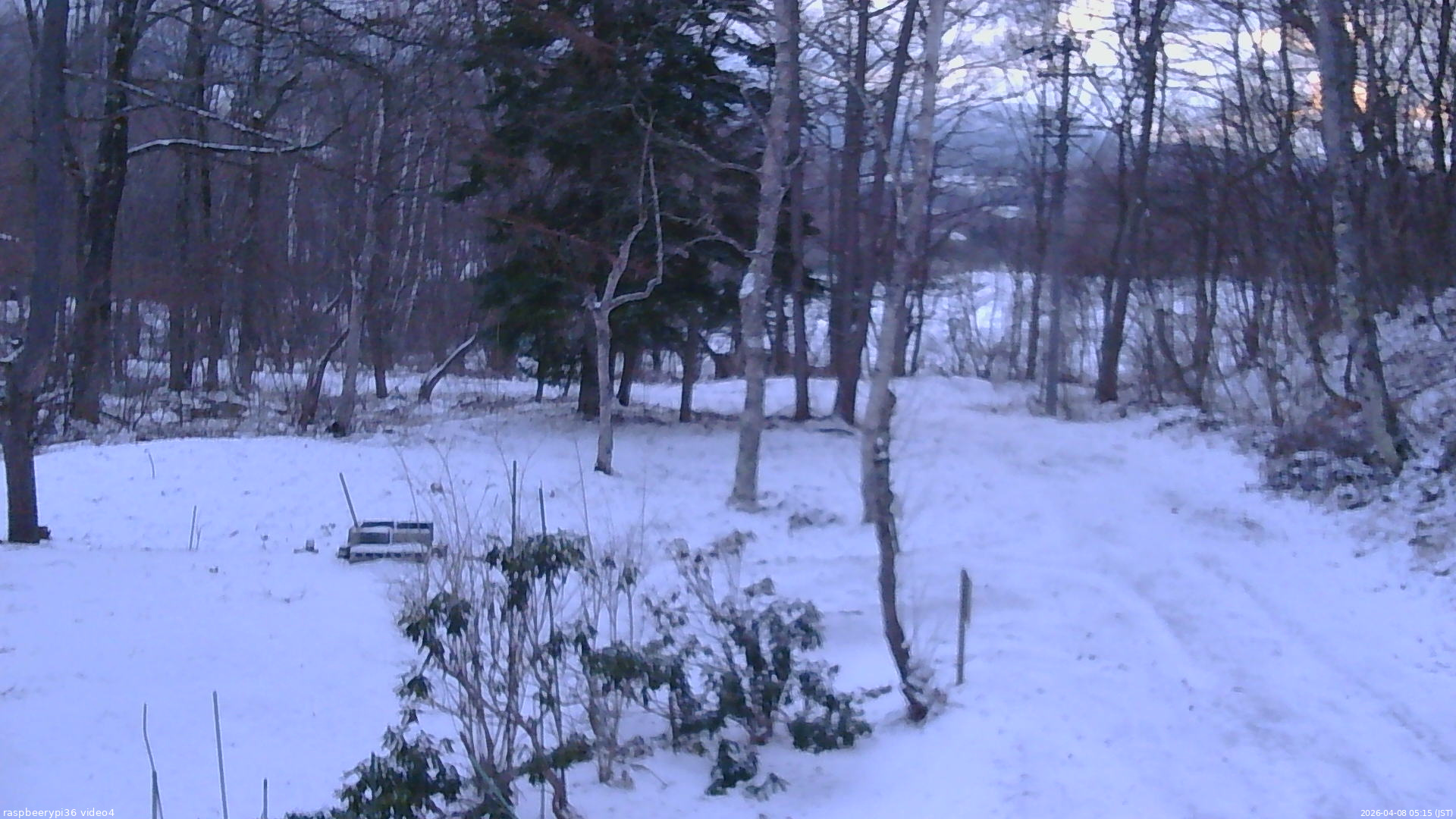 長野県菅平高原 ゆたか山荘 坂上 2026/04/08 05:15