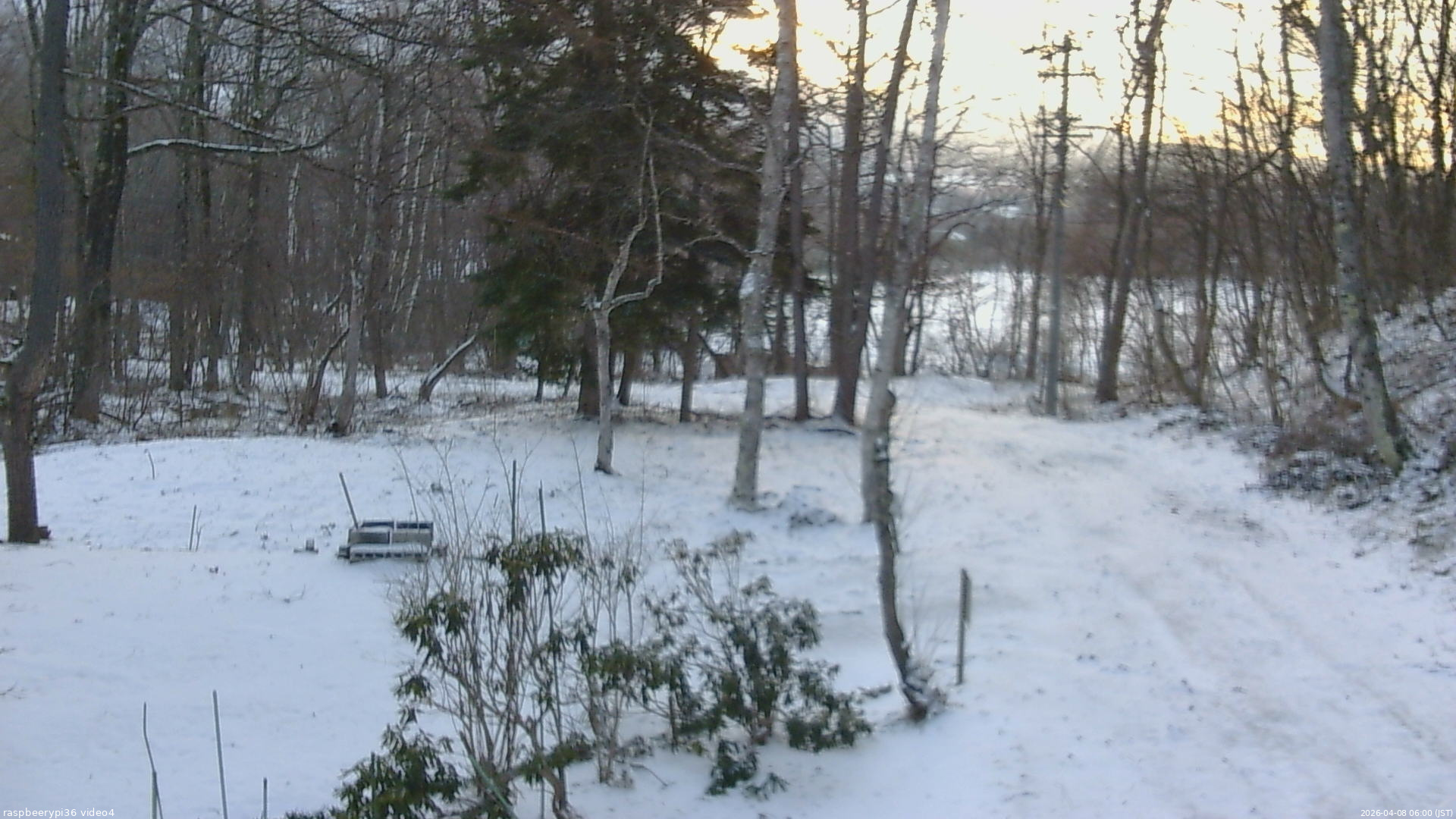 長野県菅平高原 ゆたか山荘 坂上 2026/04/08 06:00