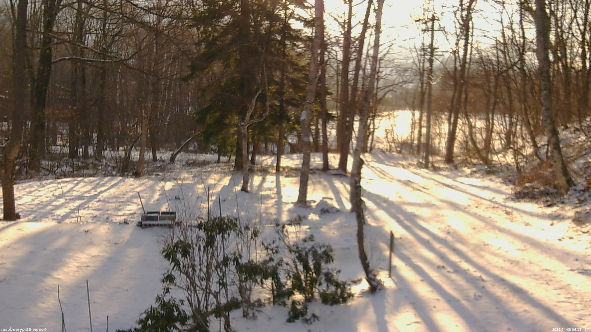 長野県菅平高原 ゆたか山荘 坂上 2026/04/08 06:15