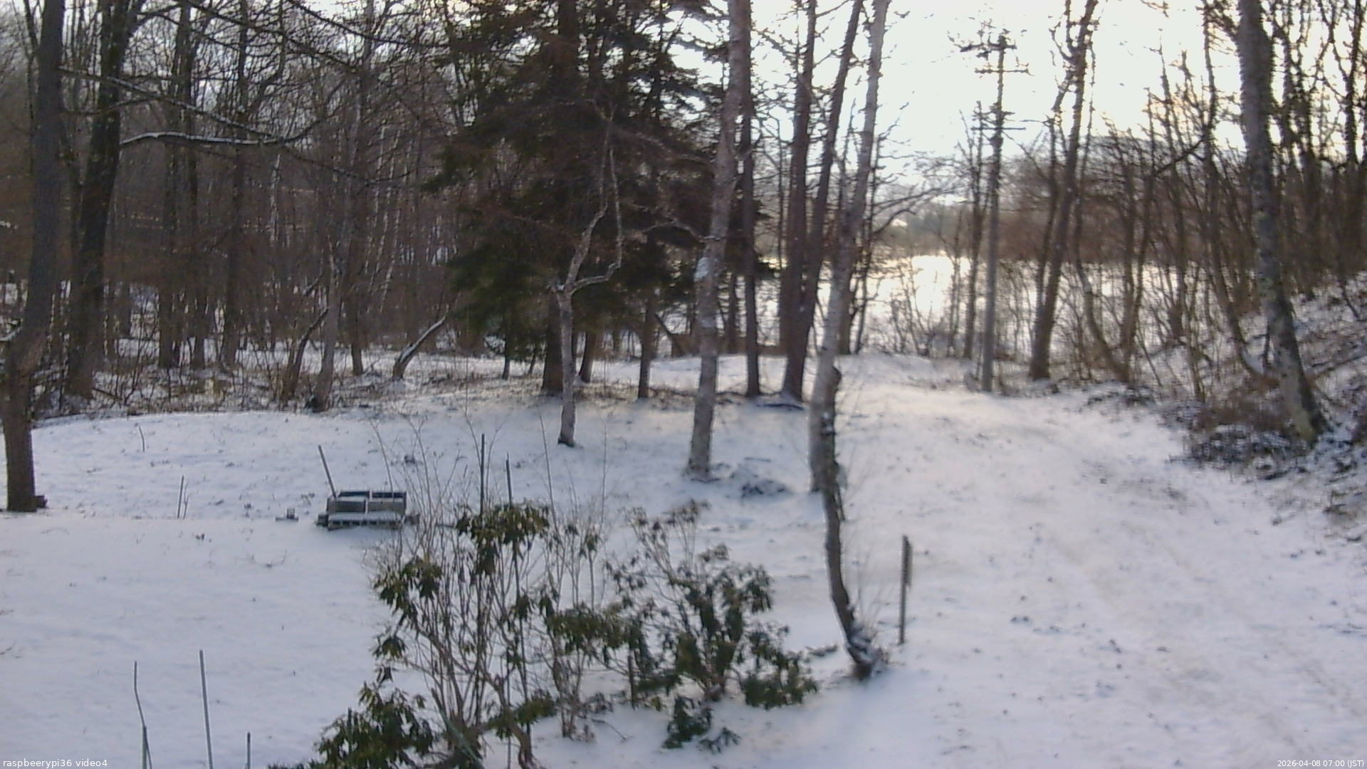 長野県菅平高原 ゆたか山荘 坂上 2026/04/08 07:00