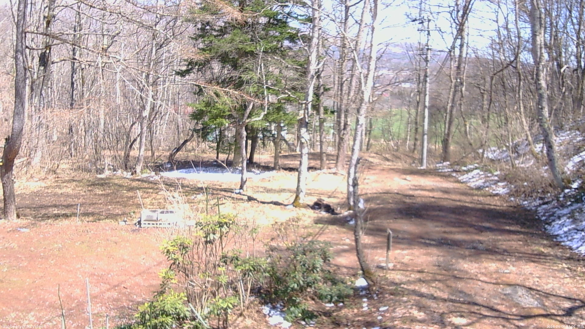 長野県菅平高原 ゆたか山荘 坂上 2026/04/08 13:00
