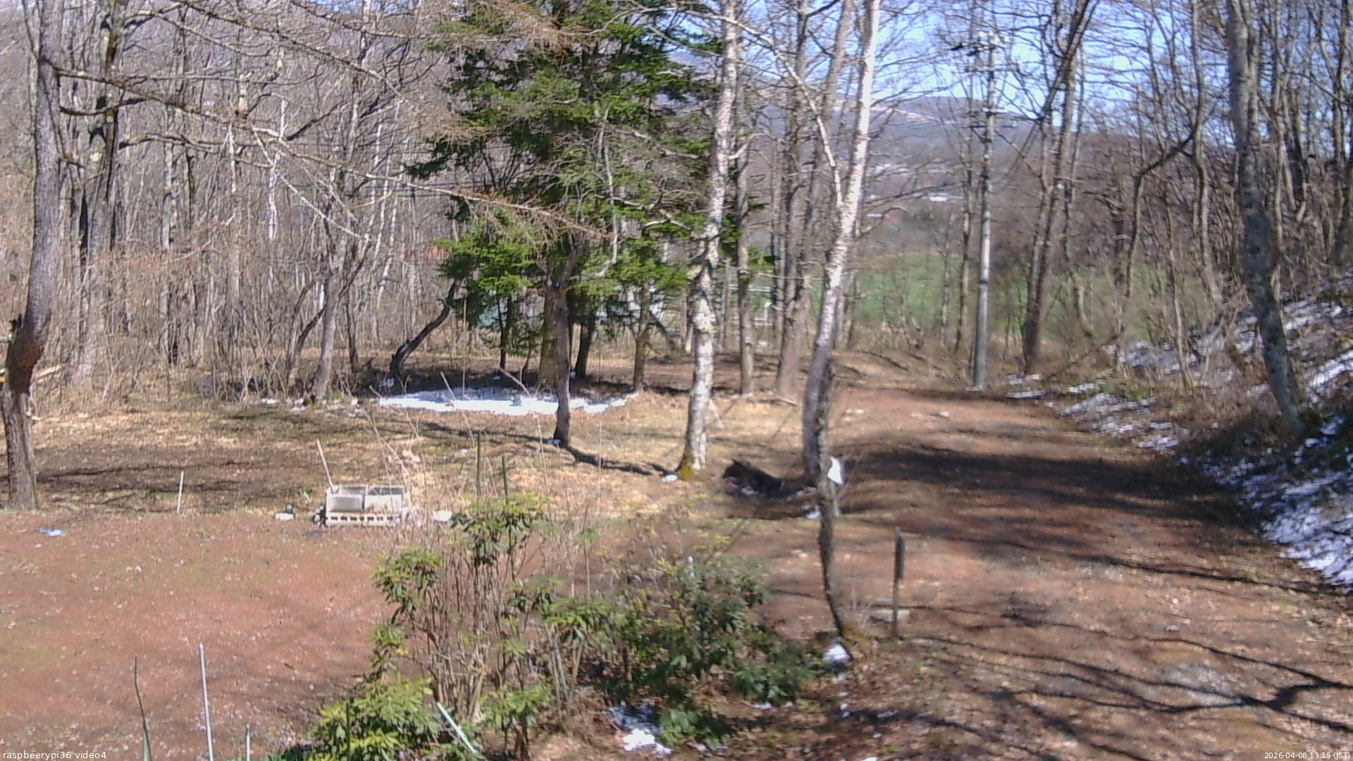 長野県菅平高原 ゆたか山荘 坂上 2026/04/08 13:15