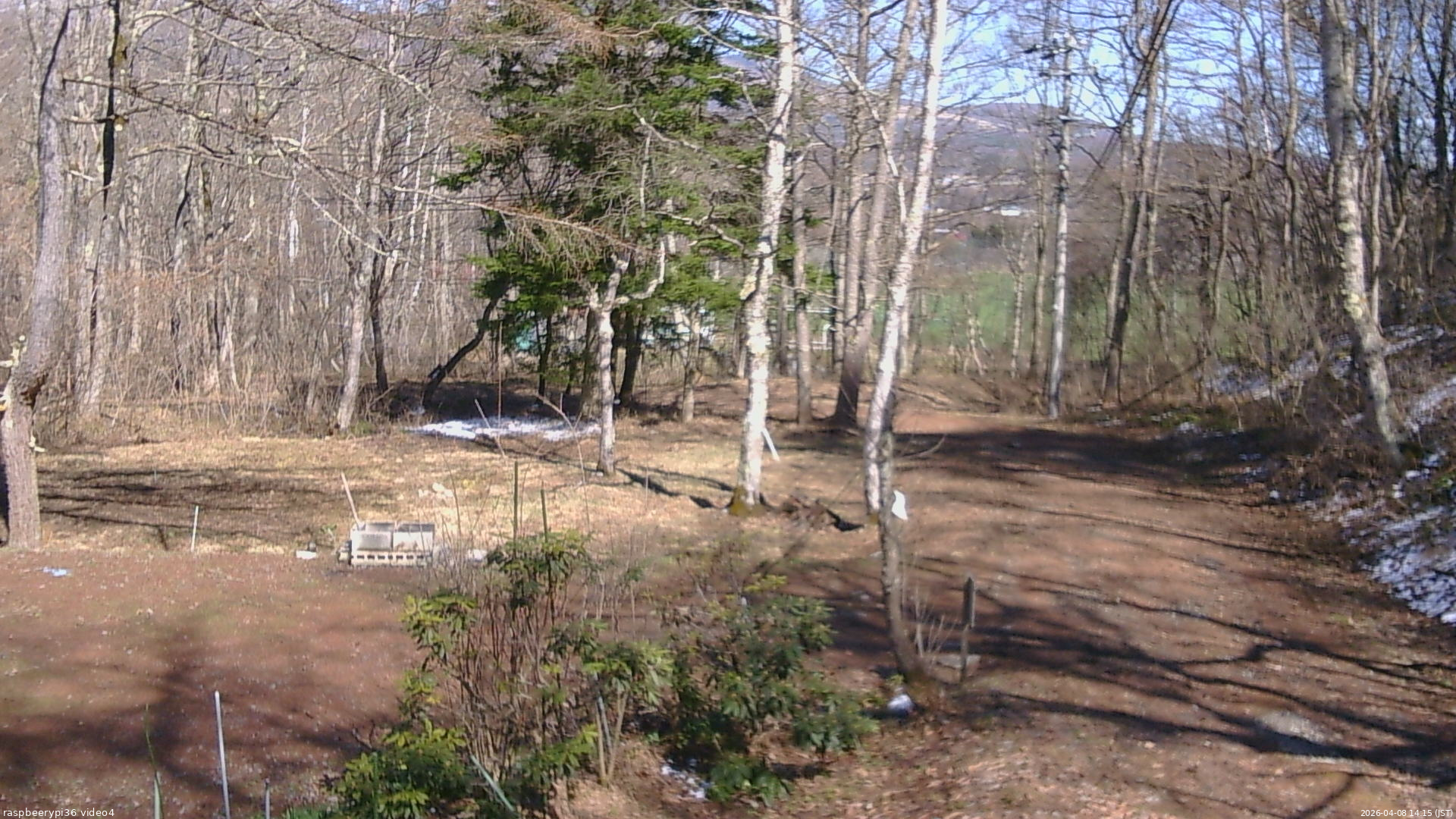 長野県菅平高原 ゆたか山荘 坂上 2026/04/08 14:15