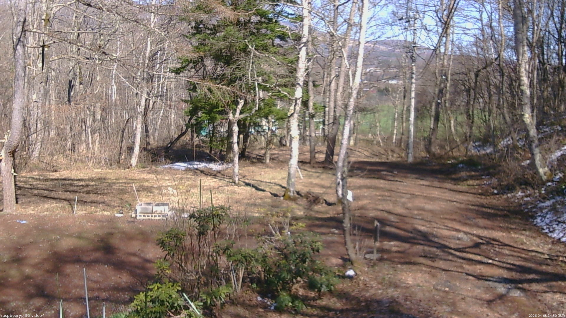 長野県菅平高原 ゆたか山荘 坂上 2026/04/08 14:30