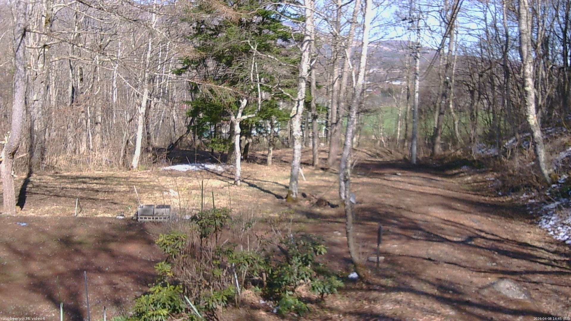 長野県菅平高原 ゆたか山荘 坂上 2026/04/08 14:45