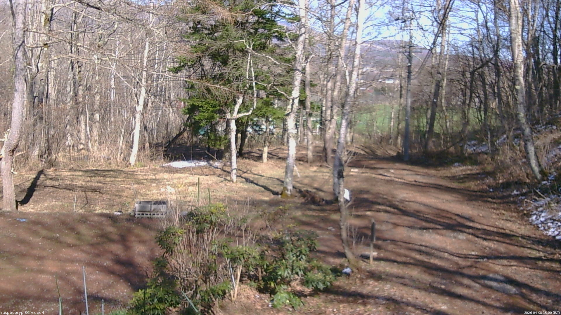 長野県菅平高原 ゆたか山荘 坂上 2026/04/08 15:00