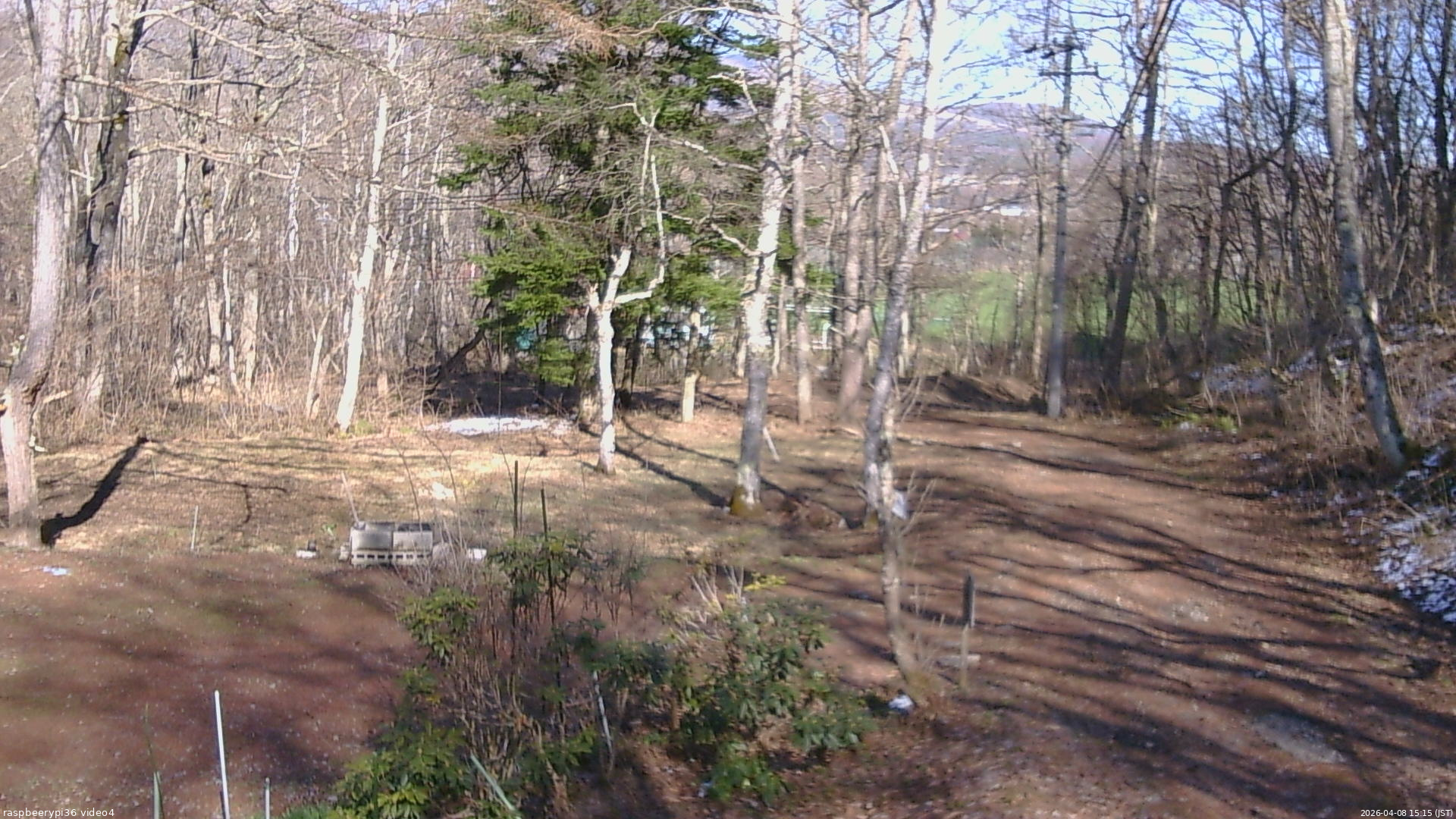 長野県菅平高原 ゆたか山荘 坂上 2026/04/08 15:15