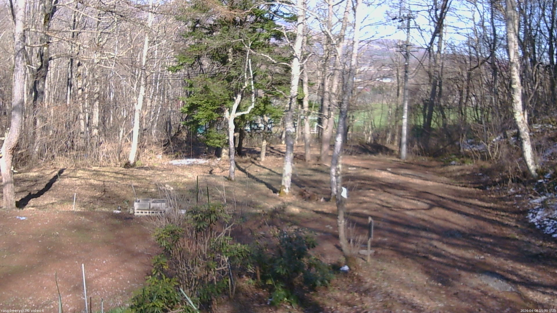 長野県菅平高原 ゆたか山荘 坂上 2026/04/08 15:30