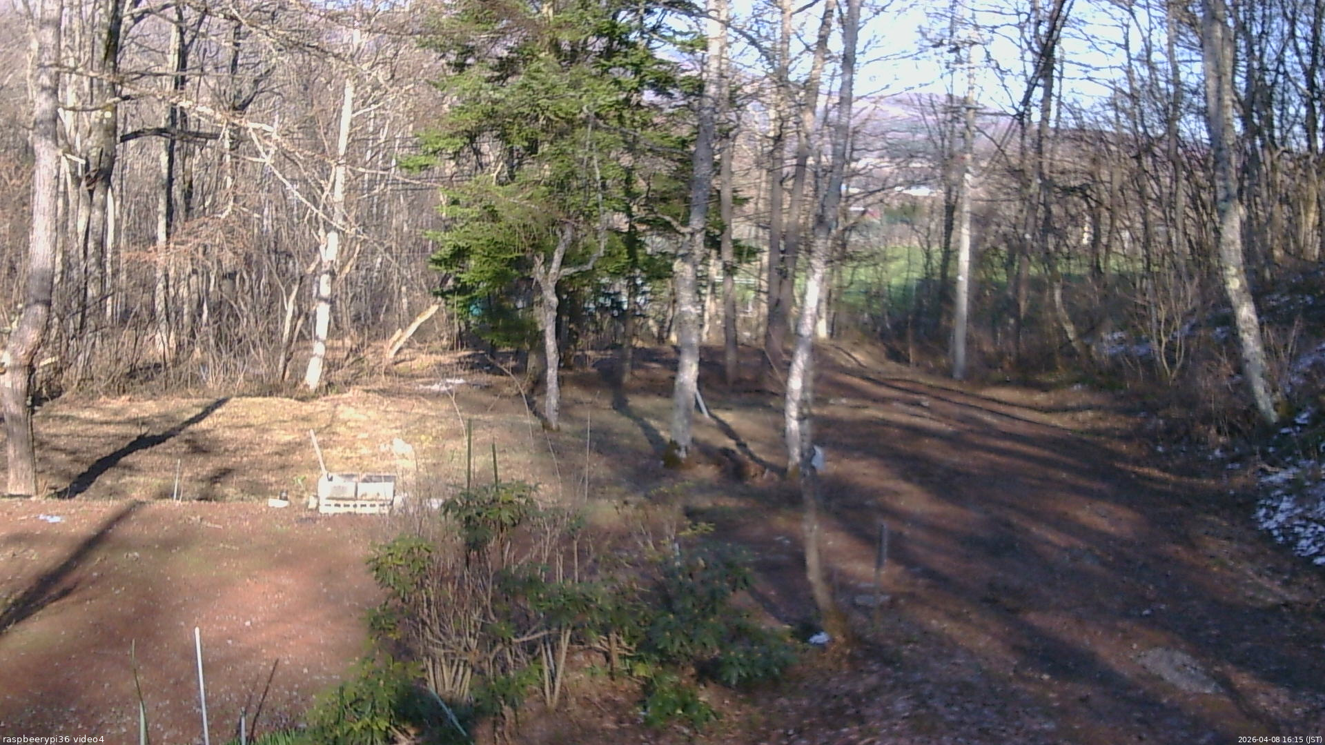 長野県菅平高原 ゆたか山荘 坂上 2026/04/08 16:15