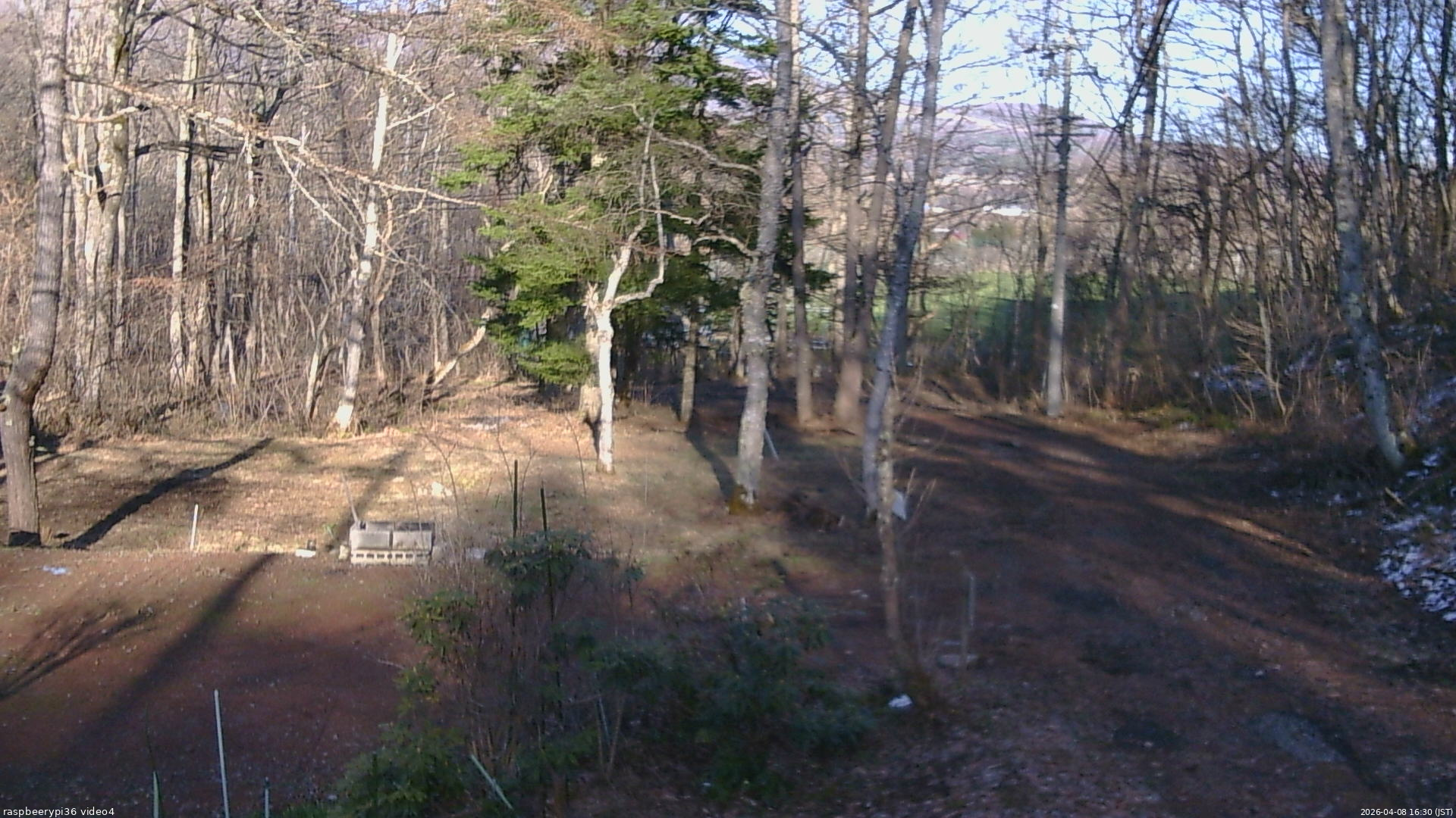 長野県菅平高原 ゆたか山荘 坂上 2026/04/08 16:30