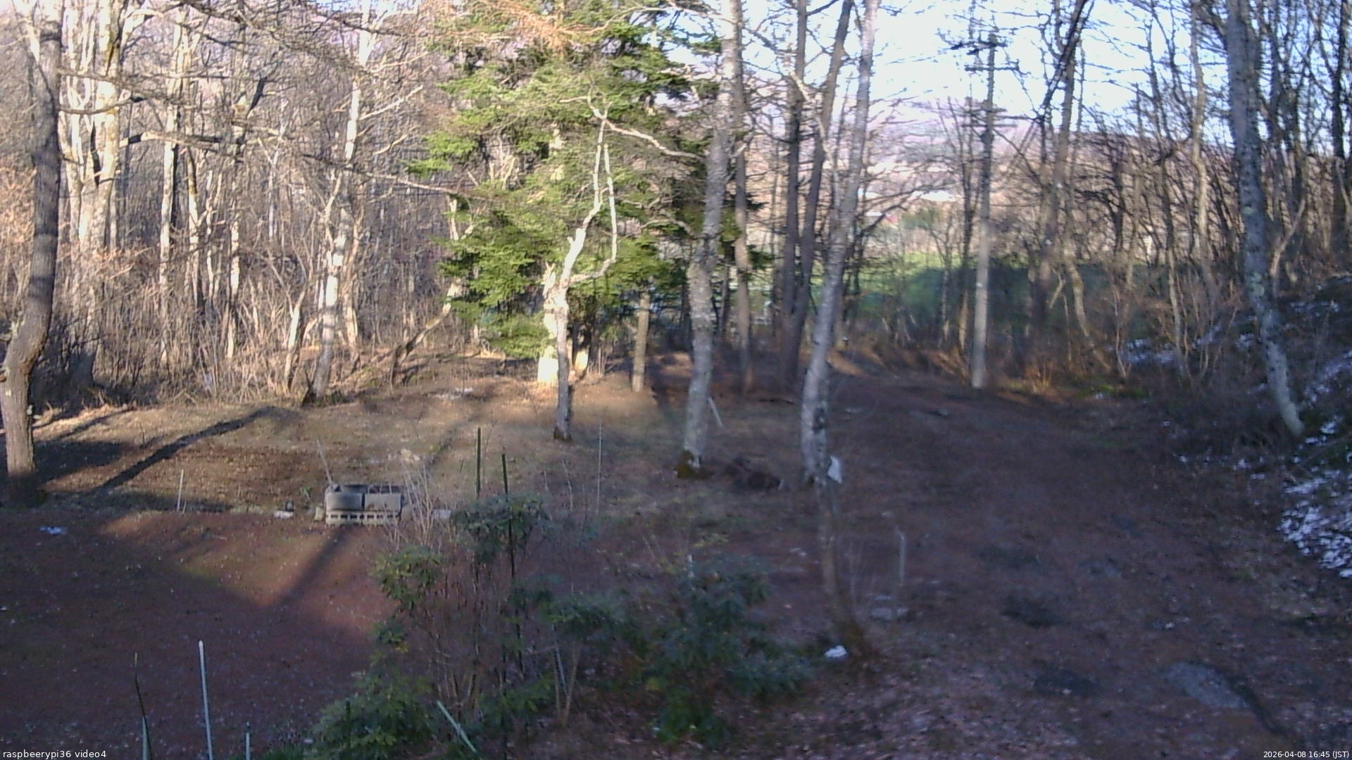 長野県菅平高原 ゆたか山荘 坂上 2026/04/08 16:45