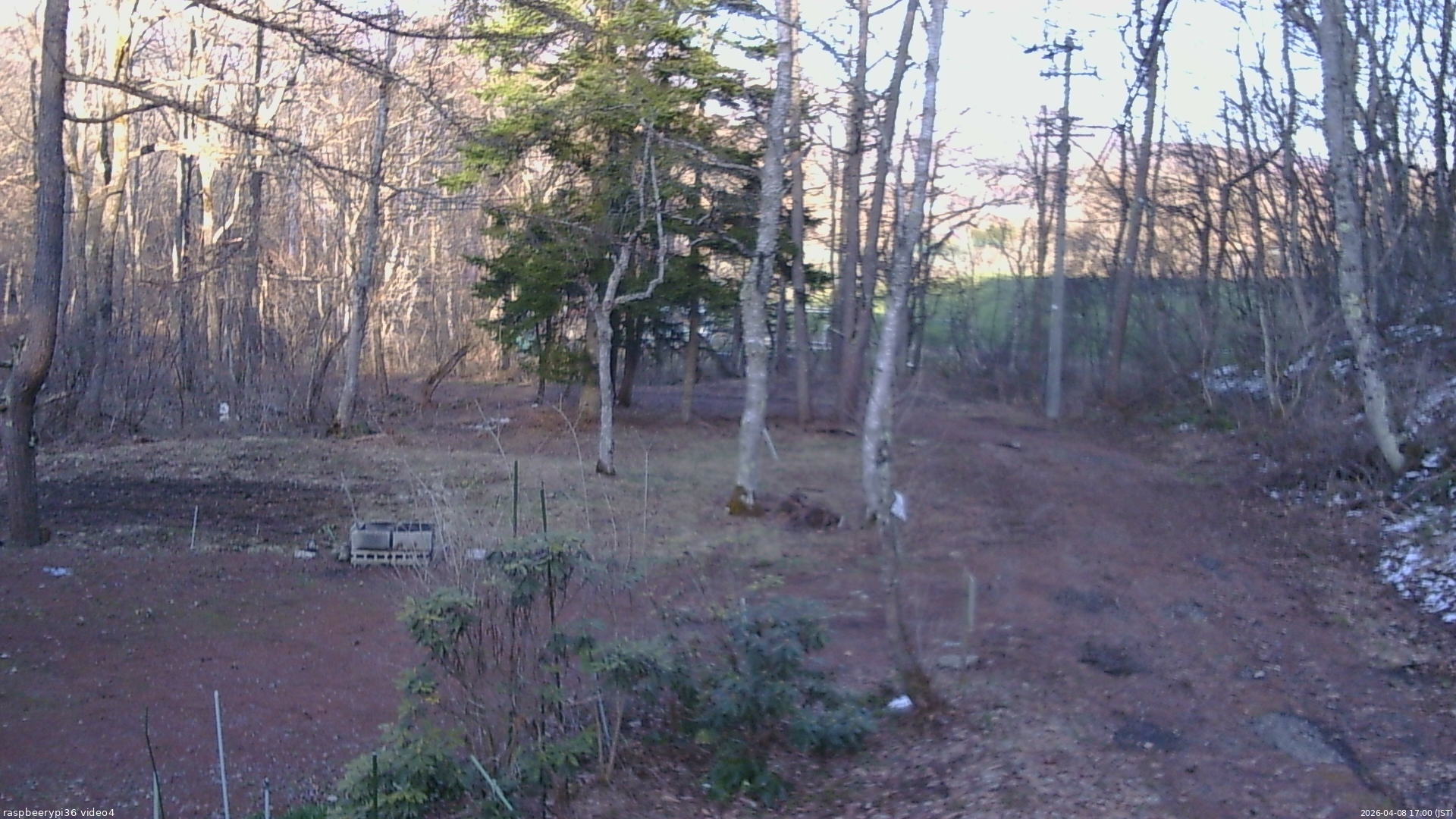 長野県菅平高原 ゆたか山荘 坂上 2026/04/08 17:00