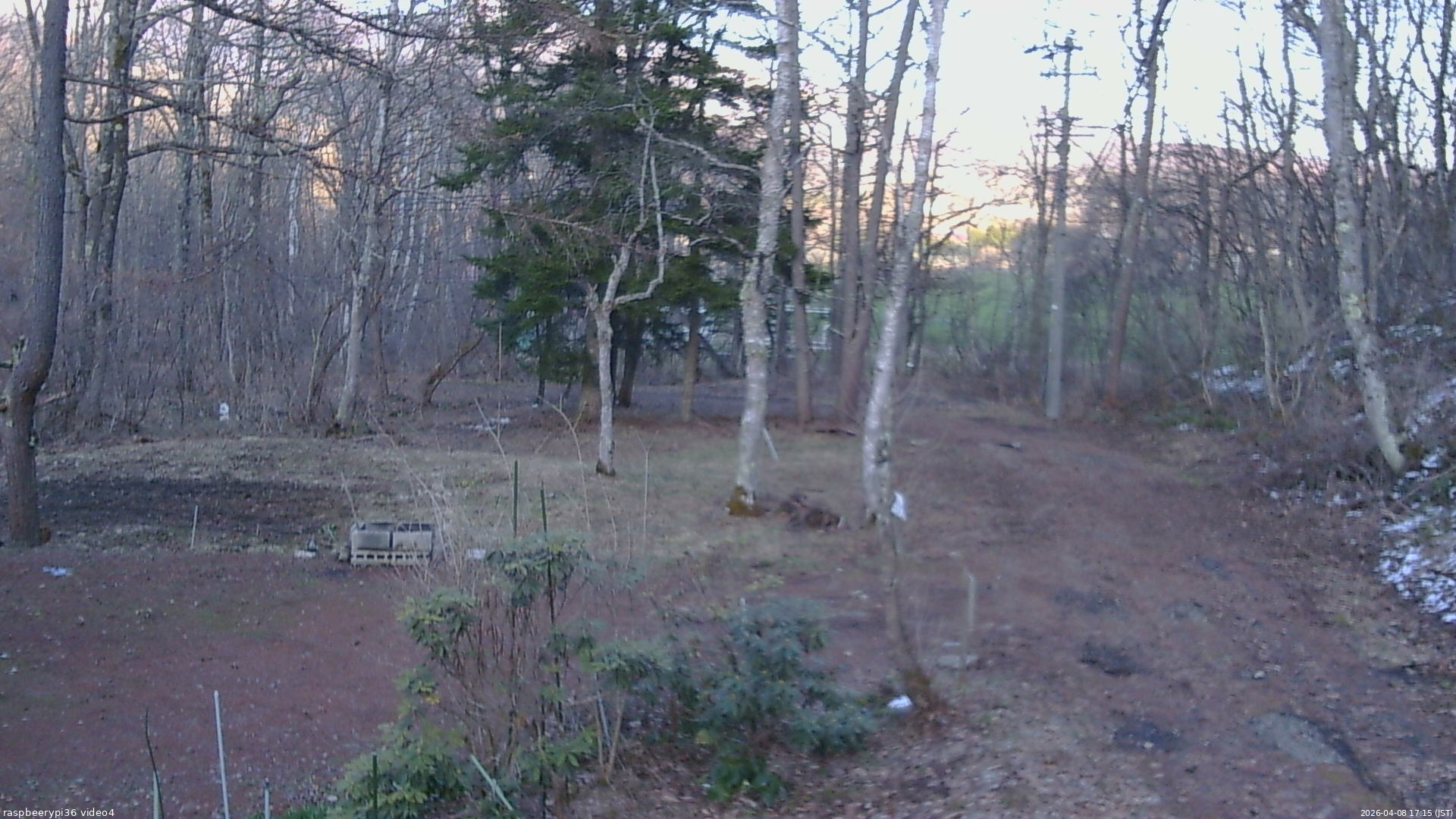 長野県菅平高原 ゆたか山荘 坂上 2026/04/08 17:15