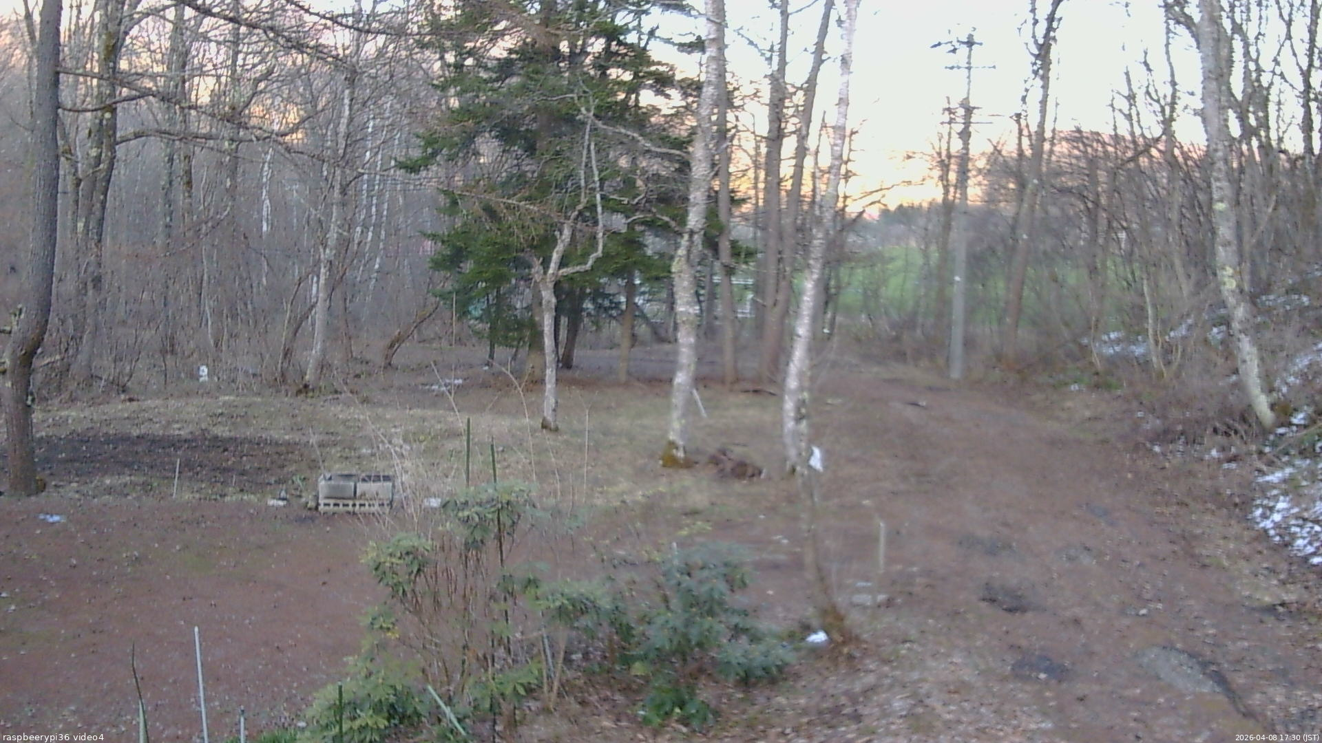長野県菅平高原 ゆたか山荘 坂上 2026/04/08 17:30