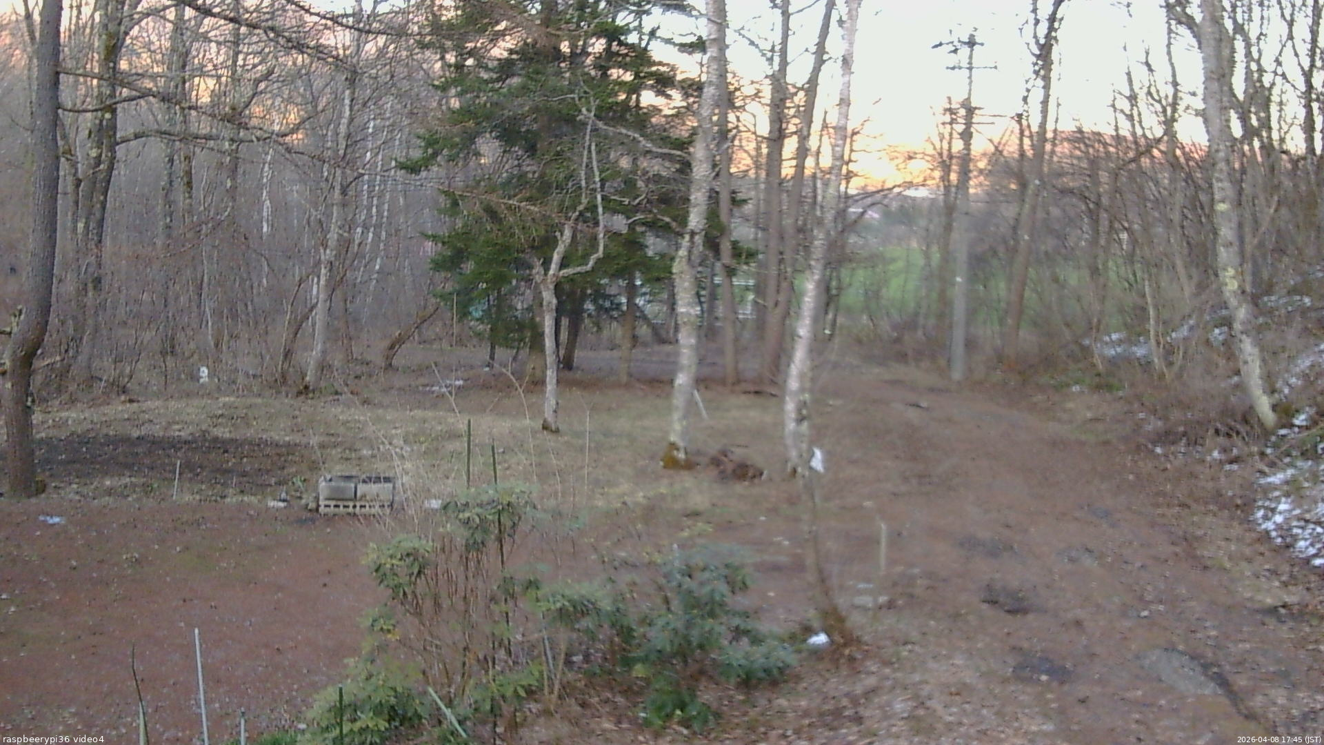 長野県菅平高原 ゆたか山荘 坂上 2026/04/08 17:45