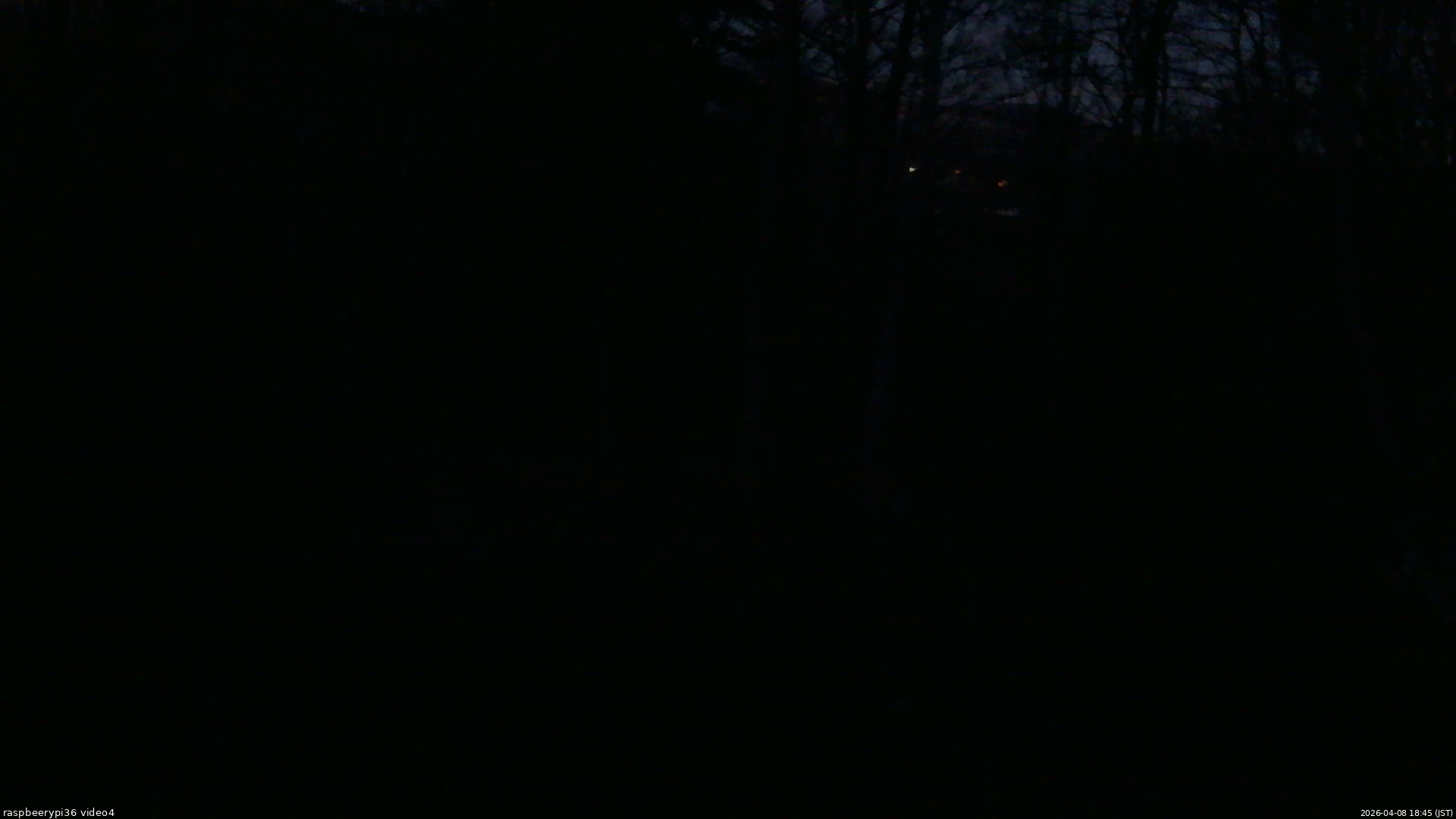 長野県菅平高原 ゆたか山荘 坂上 2026/04/08 18:45