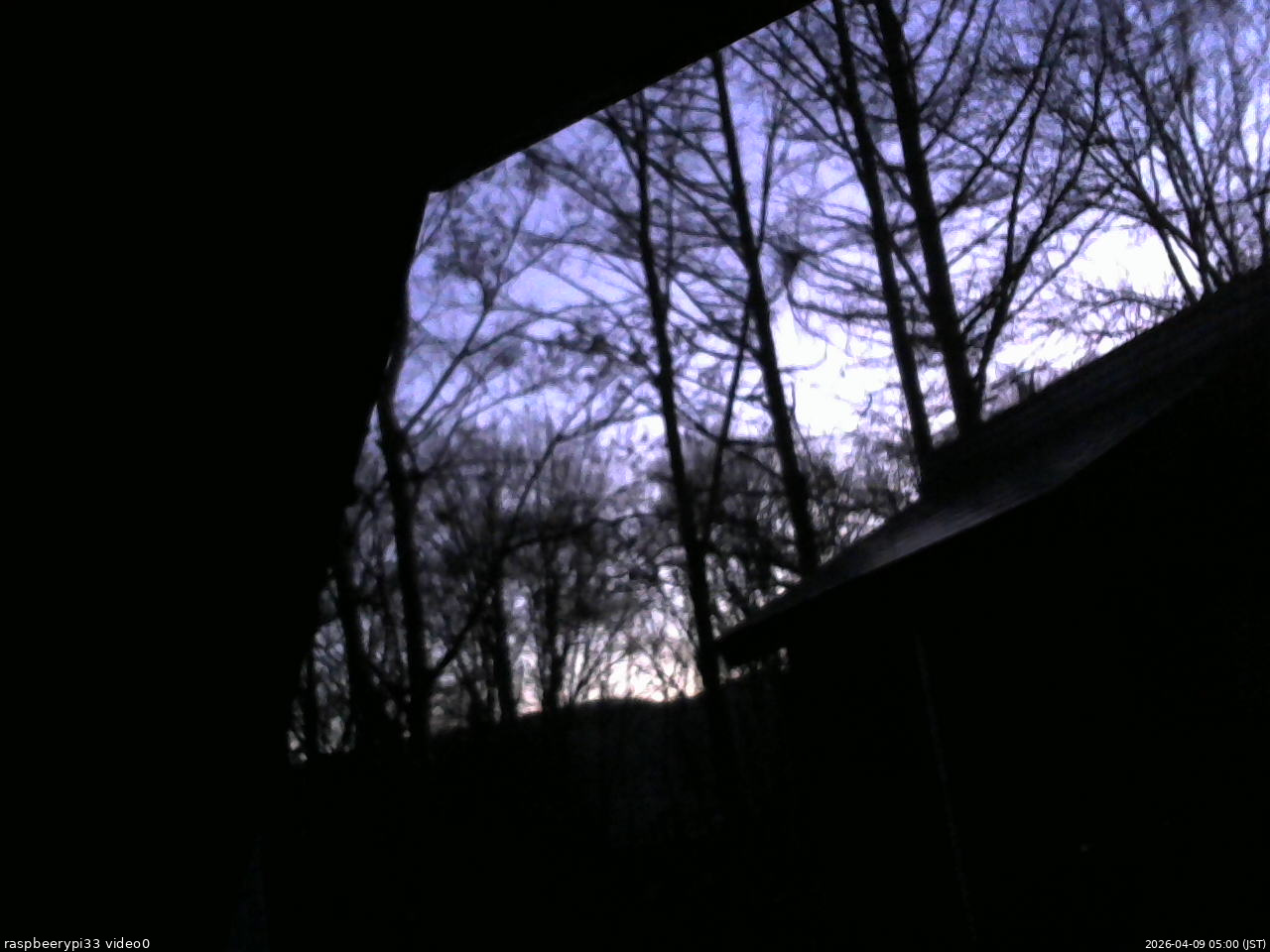 長野県菅平高原 ゆたか山荘 北側 2026/04/09 05:00