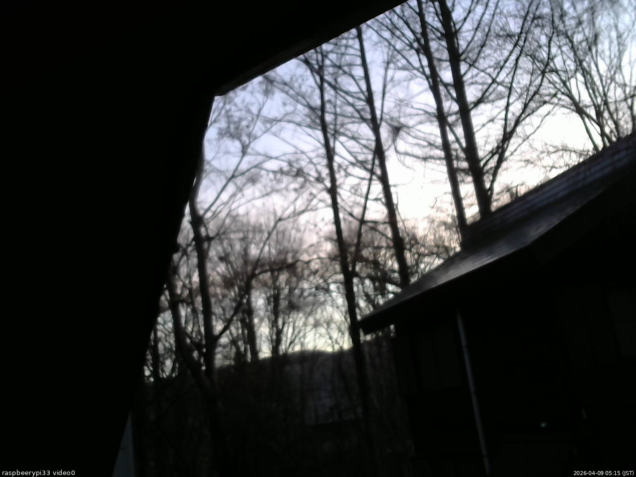 長野県菅平高原 ゆたか山荘 北側 2026/04/09 05:15