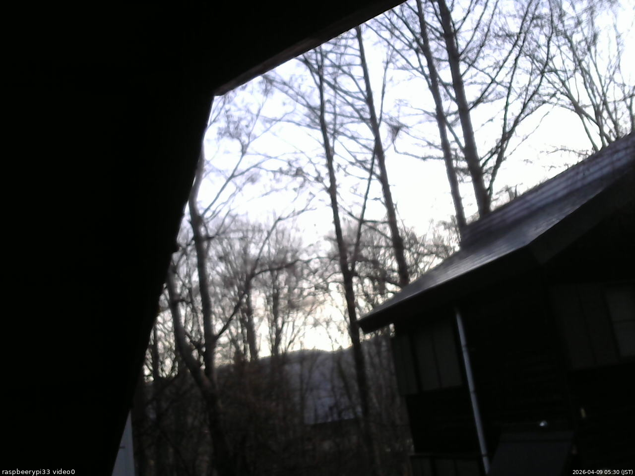 長野県菅平高原 ゆたか山荘 北側 2026/04/09 05:30